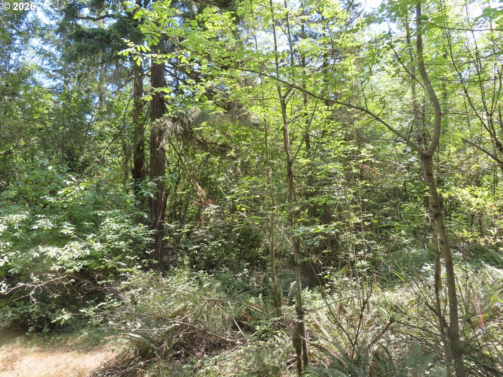 115 Campground Ln Property Photo 19