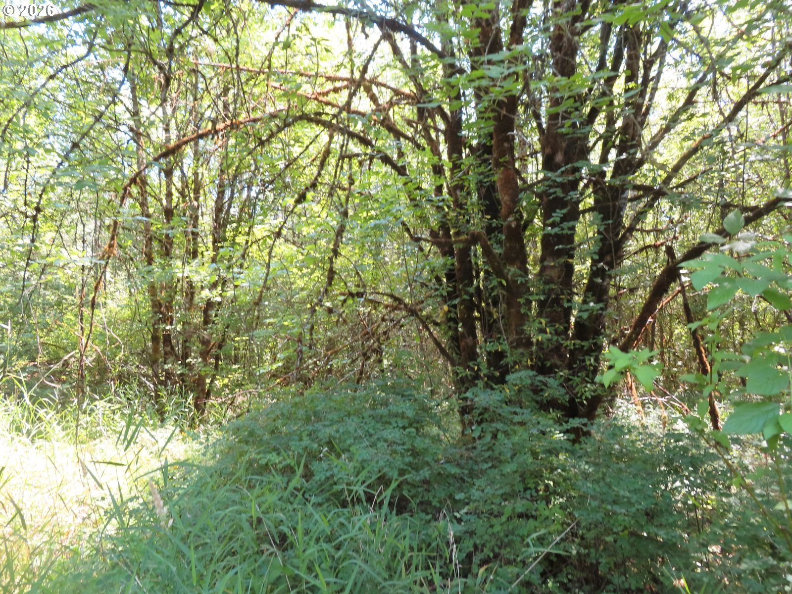 115 Campground Ln Property Photo 21
