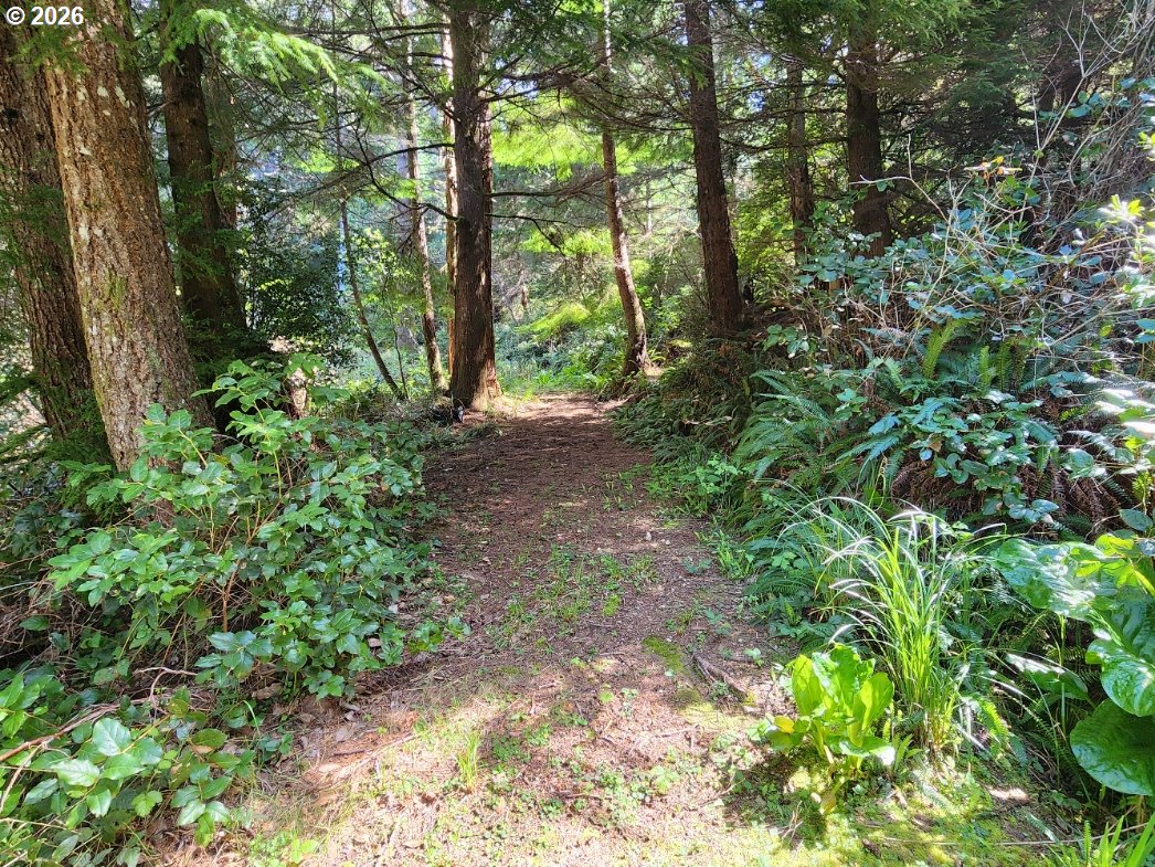 93490 Fir Rd Property Photo 35