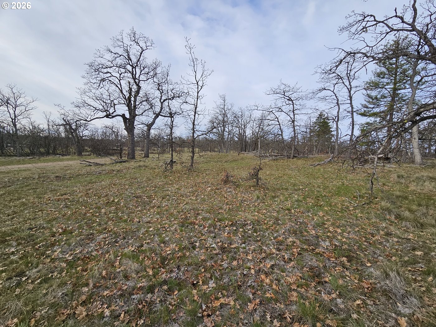 0 Ridgetop Rd N 107 Property Photo 3
