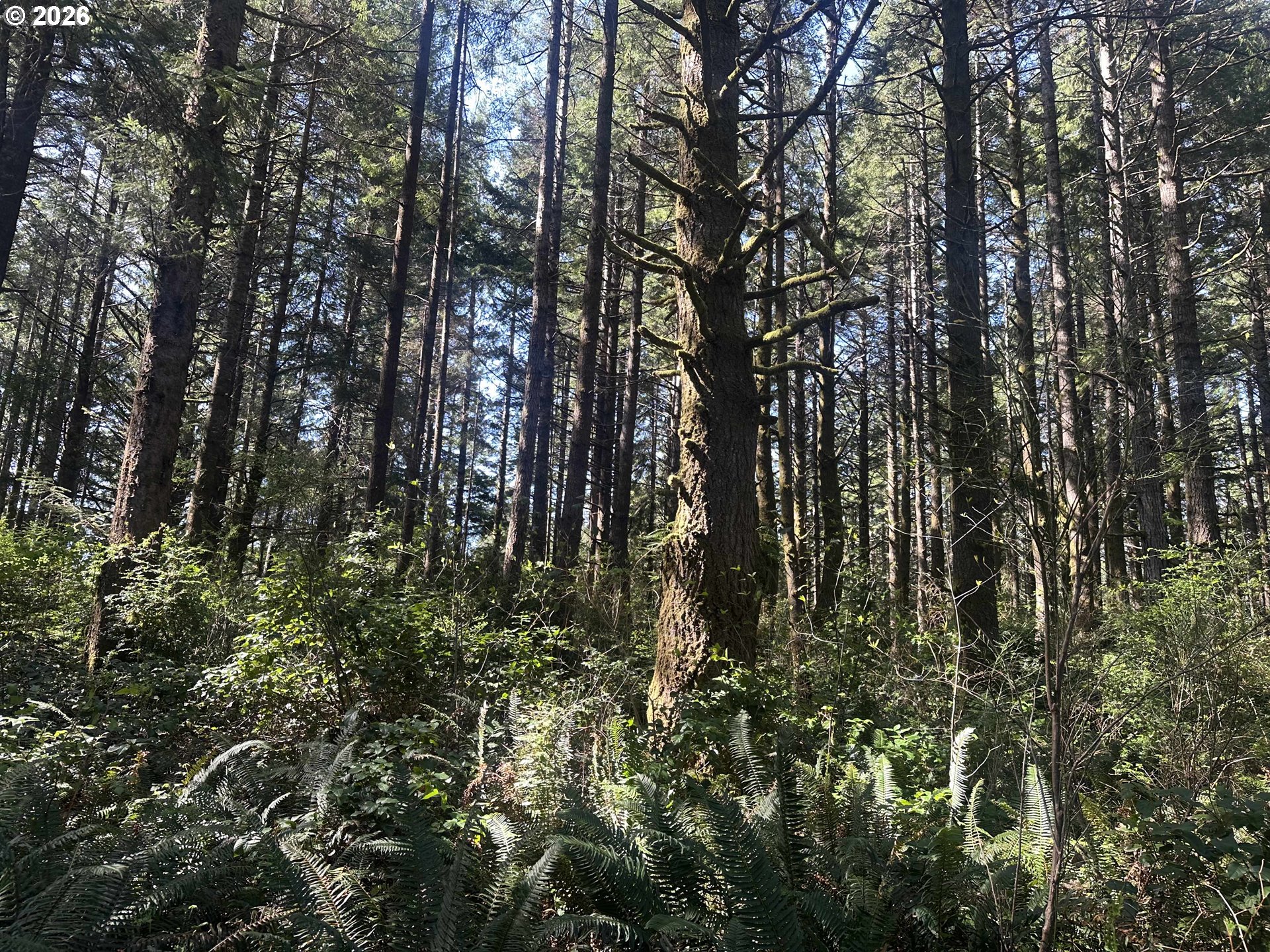 Cedar Terraces Property Photo 1