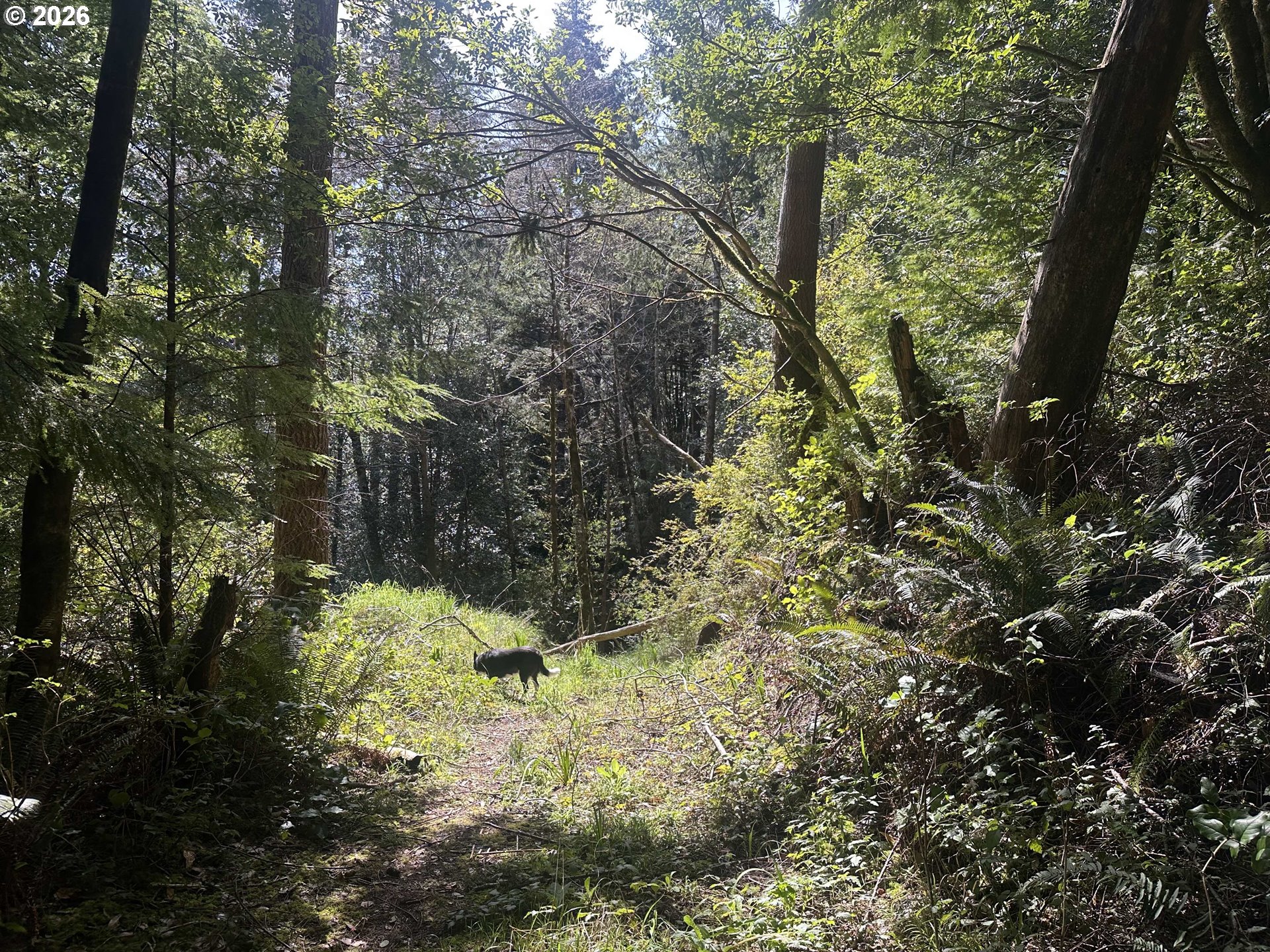 Cedar Terraces Property Photo 4