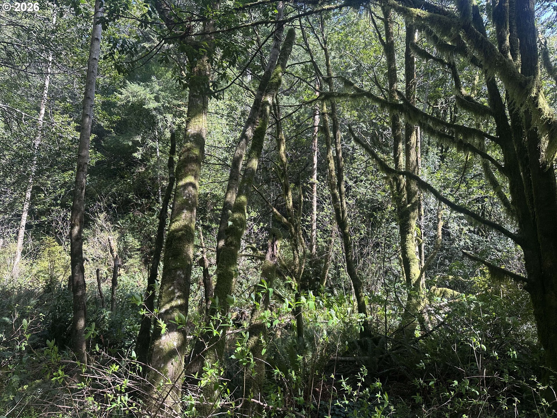 Cedar Terraces Property Photo 6