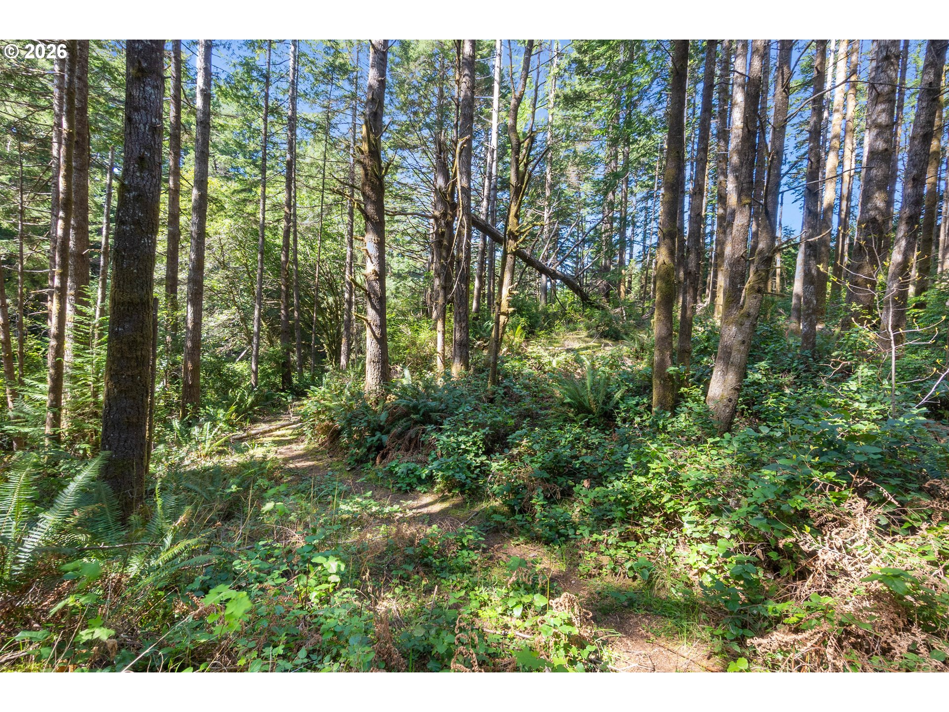 Cedar Terraces Property Photo 11