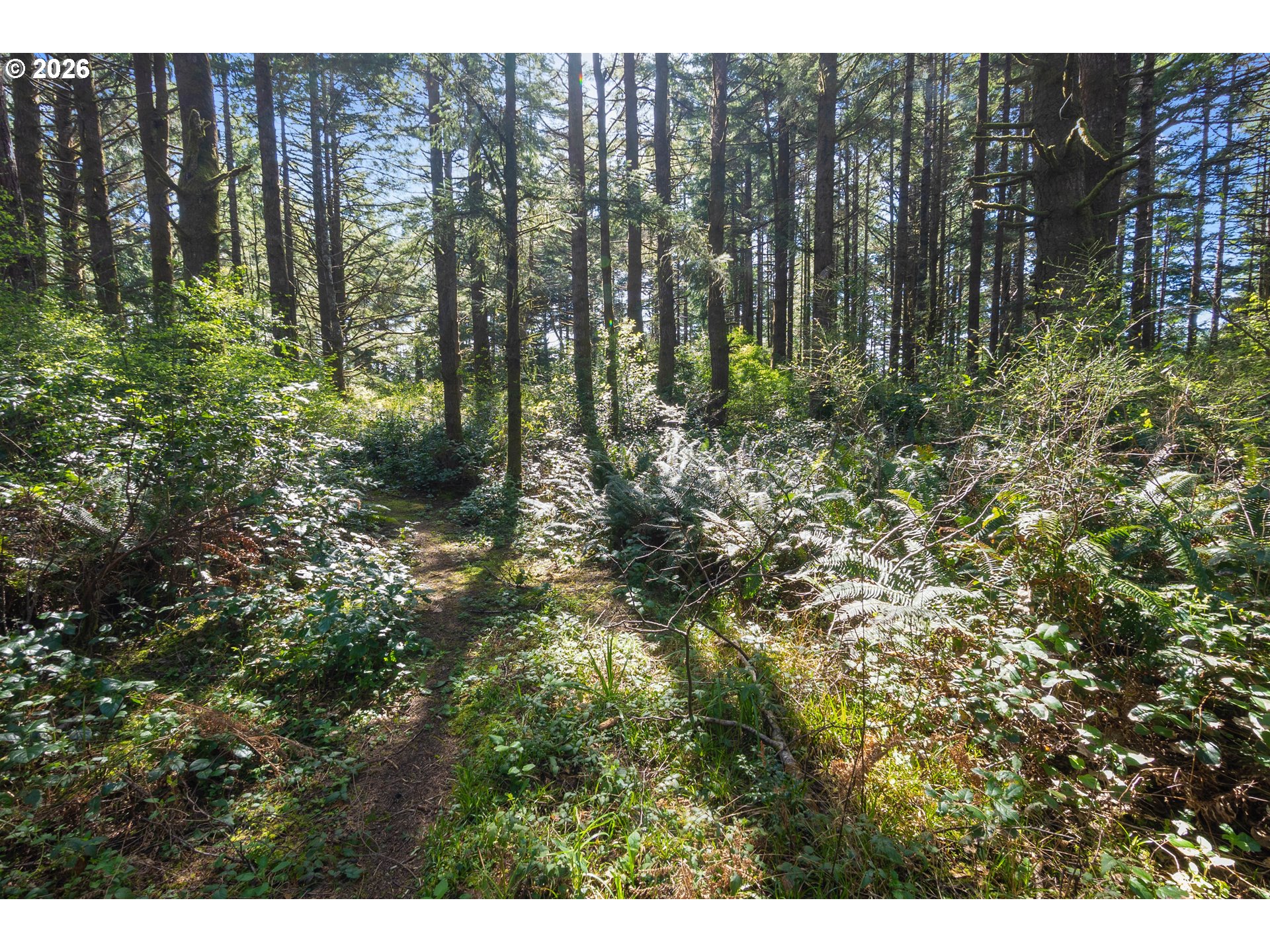 Cedar Terraces Property Photo 12