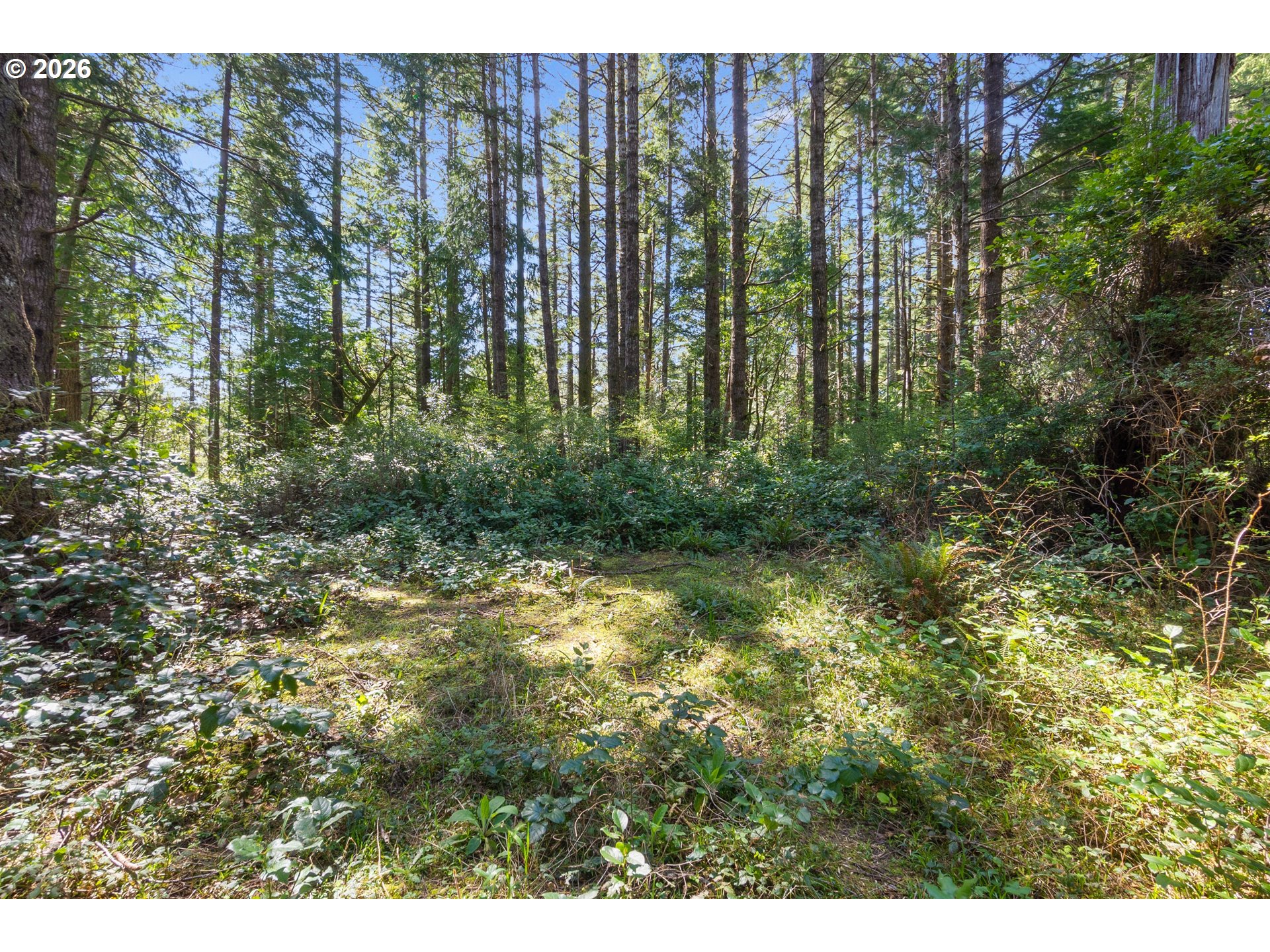 Cedar Terraces Property Photo 13