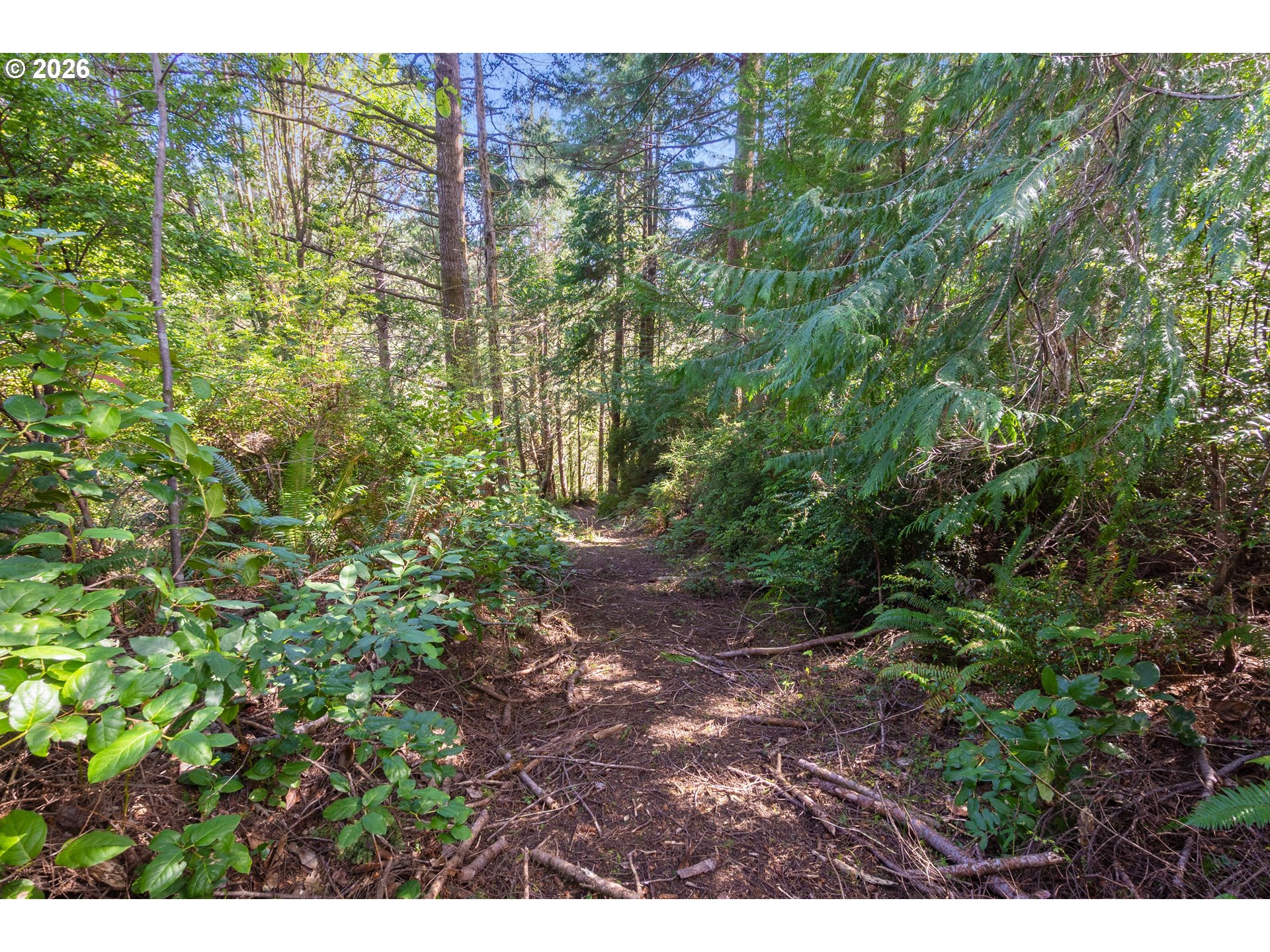 Cedar Terraces Property Photo 14