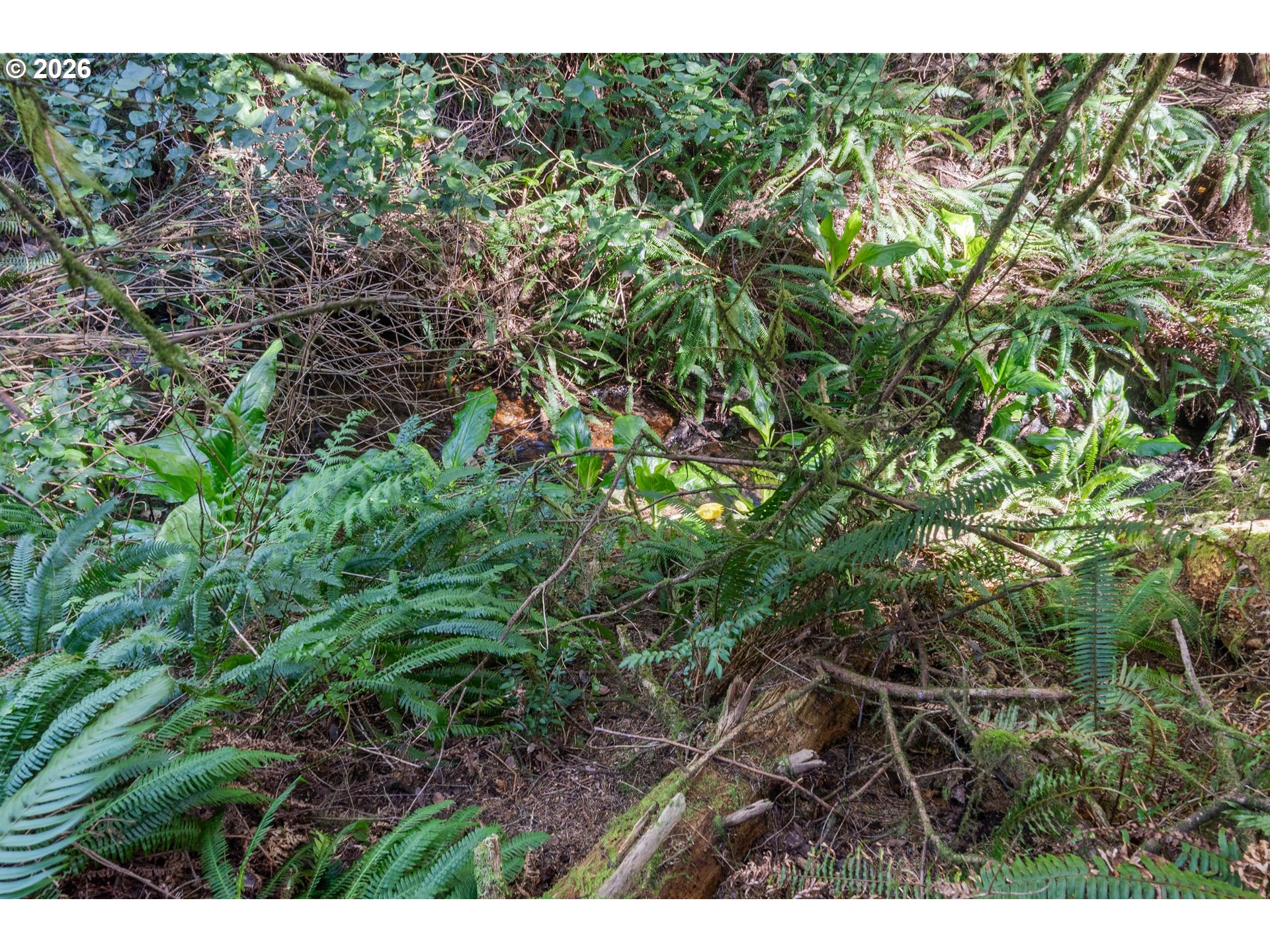Cedar Terraces Property Photo 15