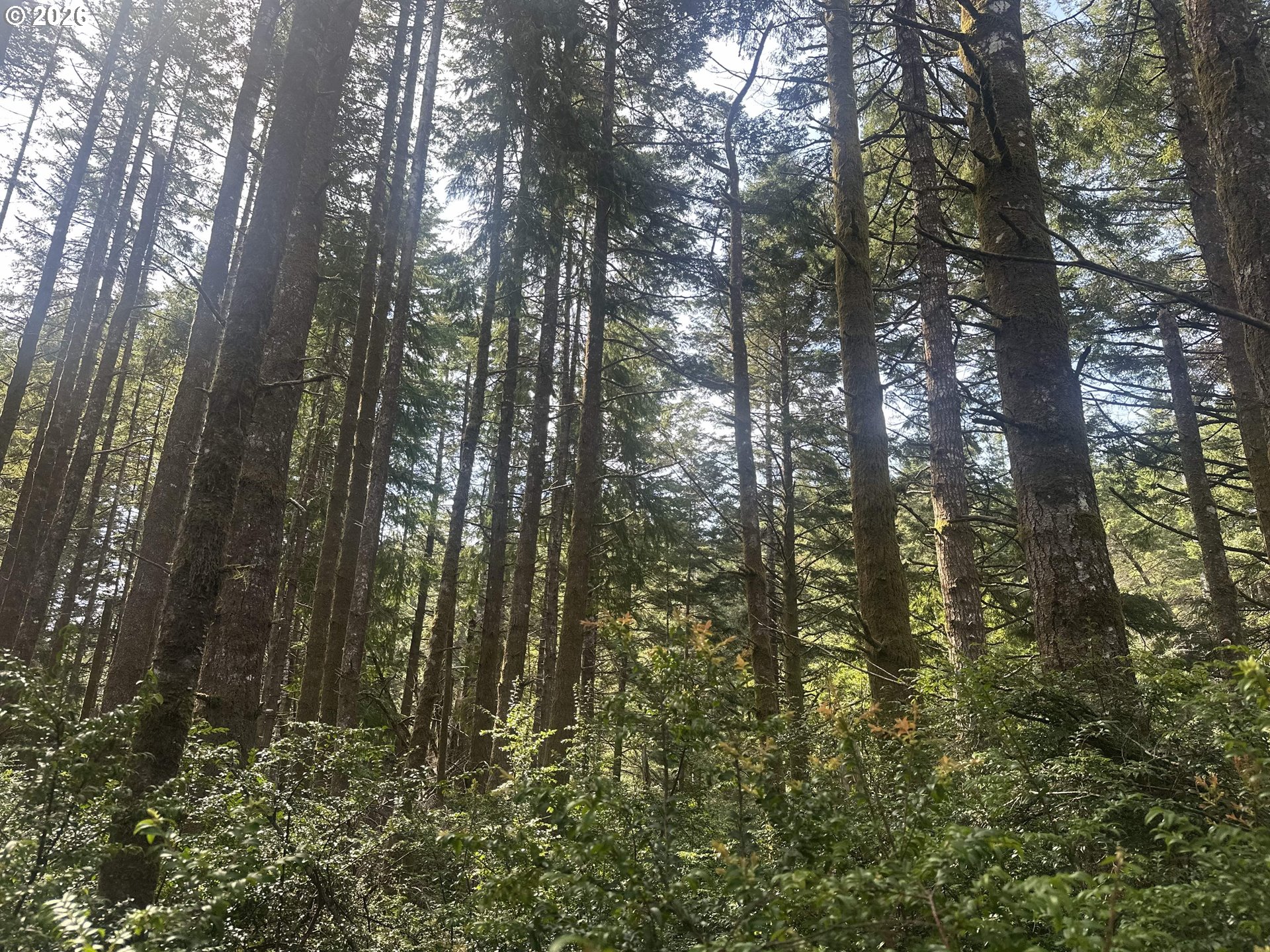 Cedar Terraces Property Photo 16