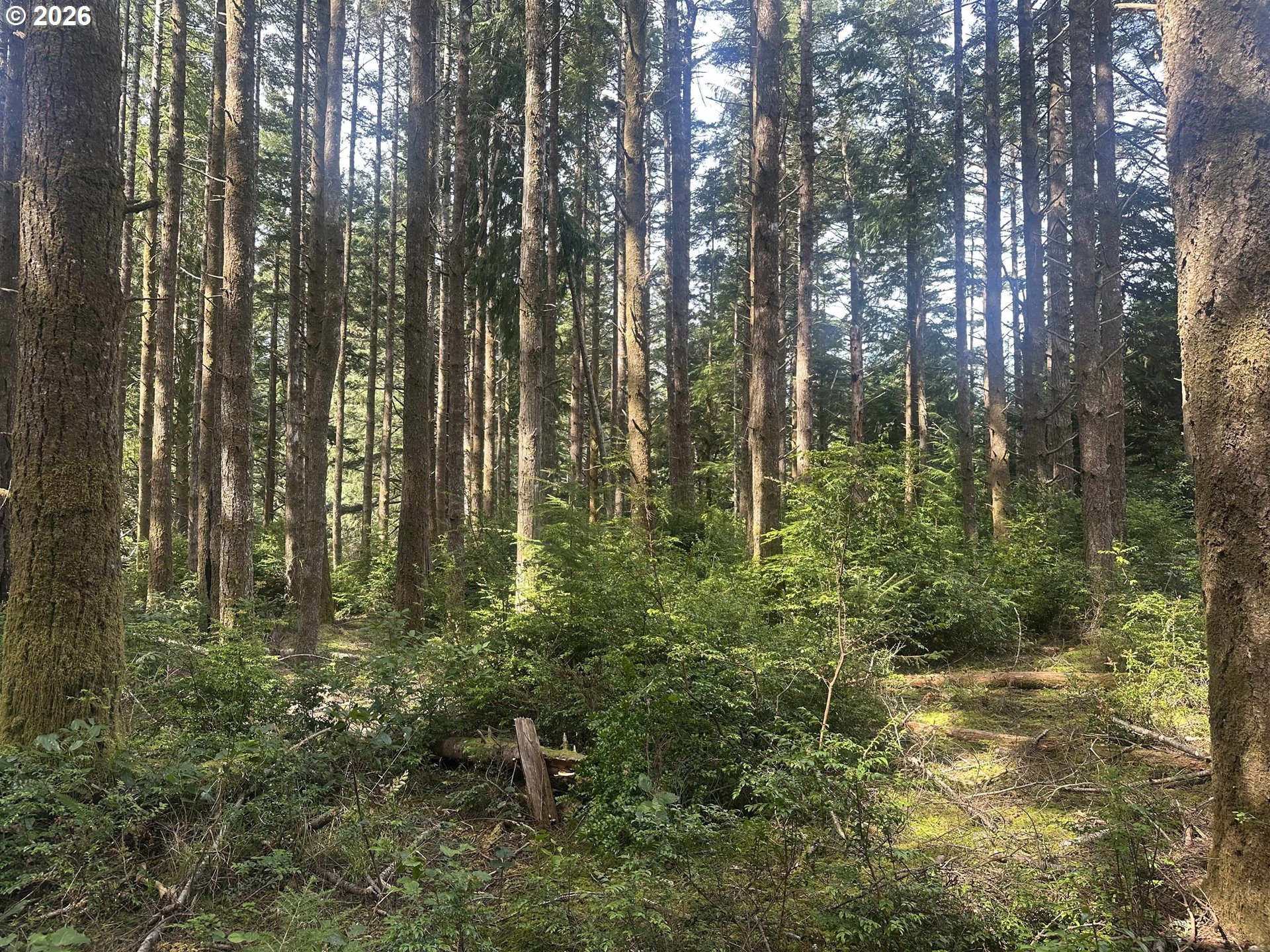 Cedar Terraces Property Photo 18