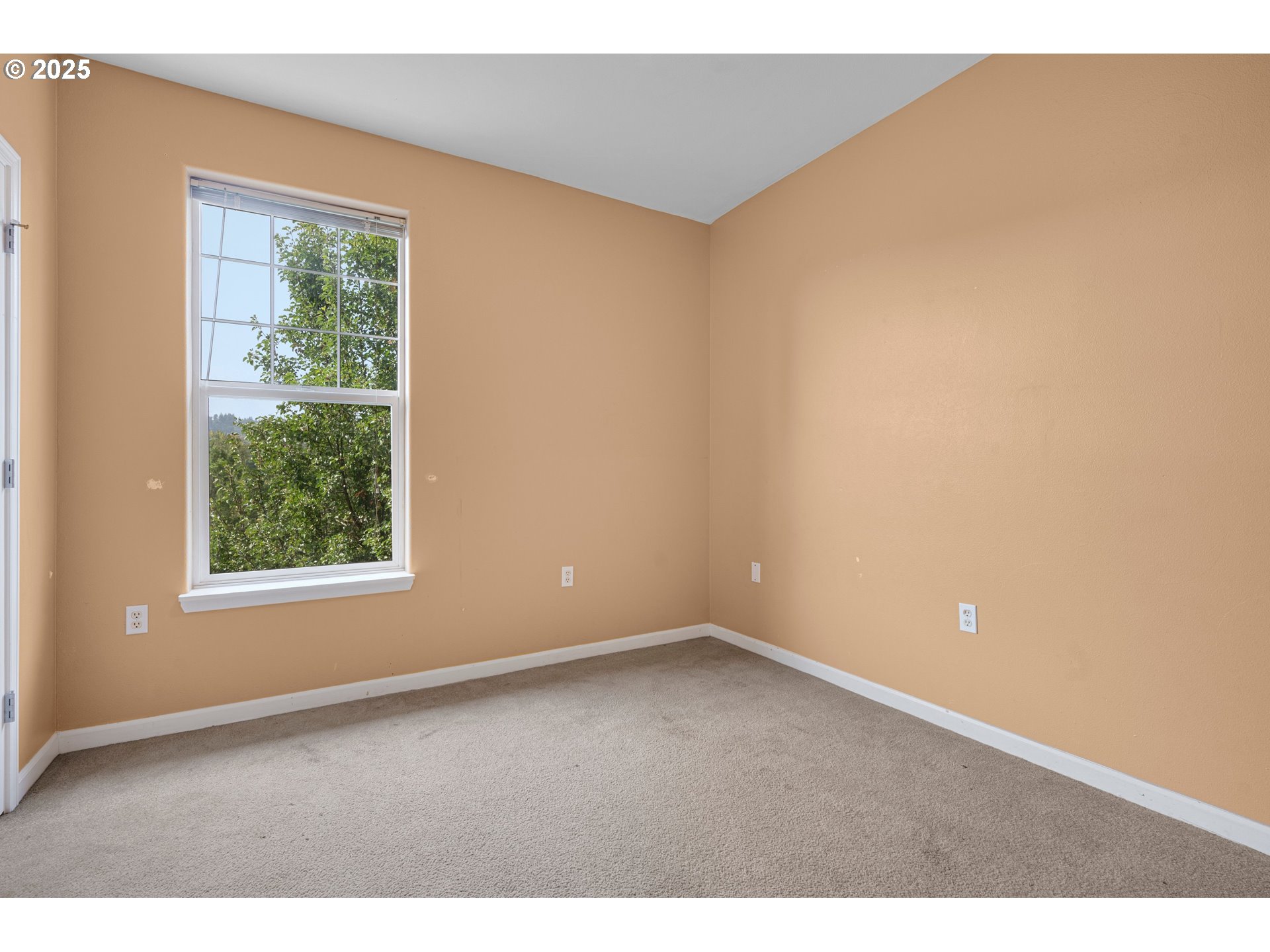 850 Springtree Ln Property Photo 17