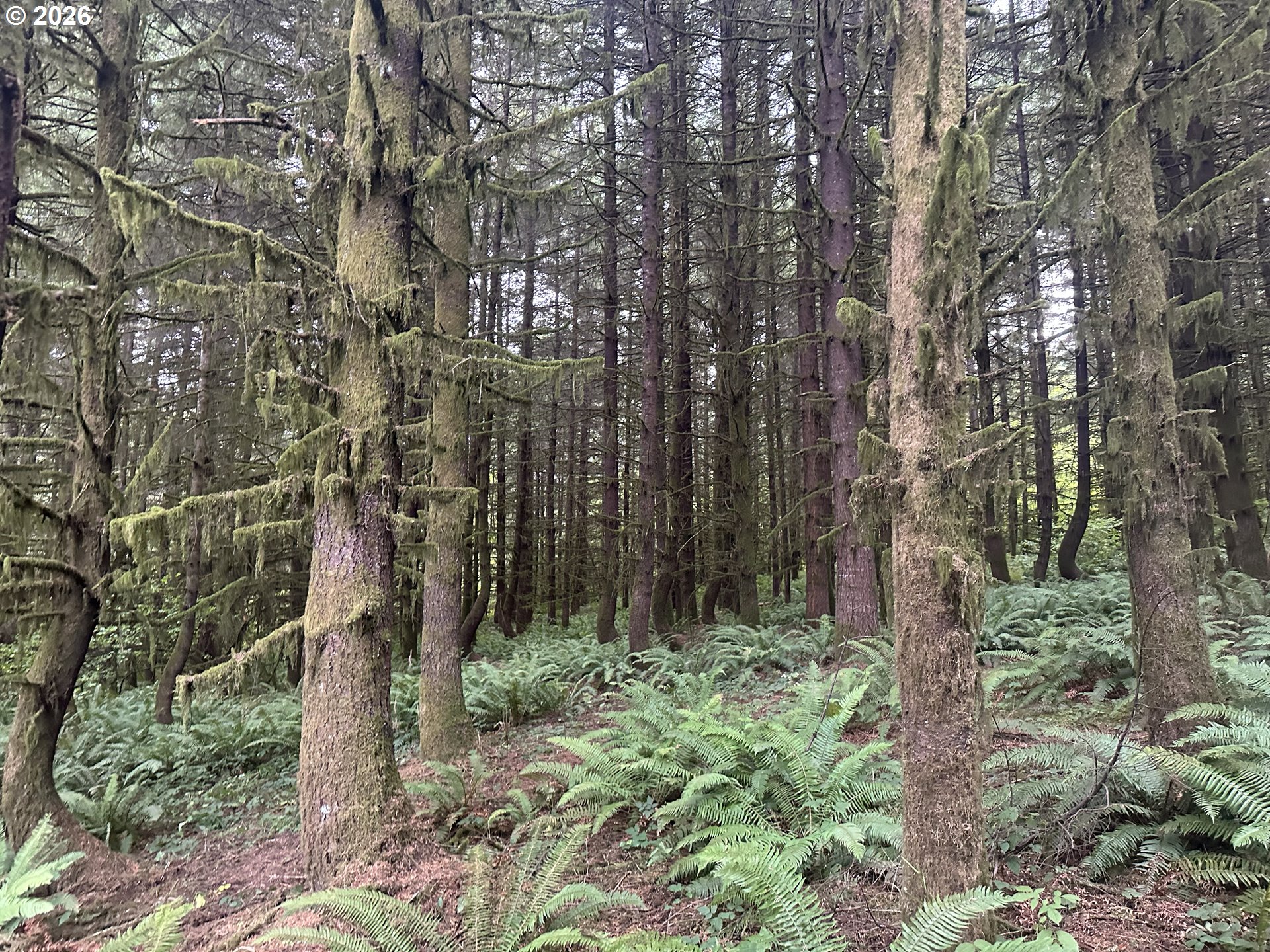 Sw Finnigan Hill Rd Property Photo 3