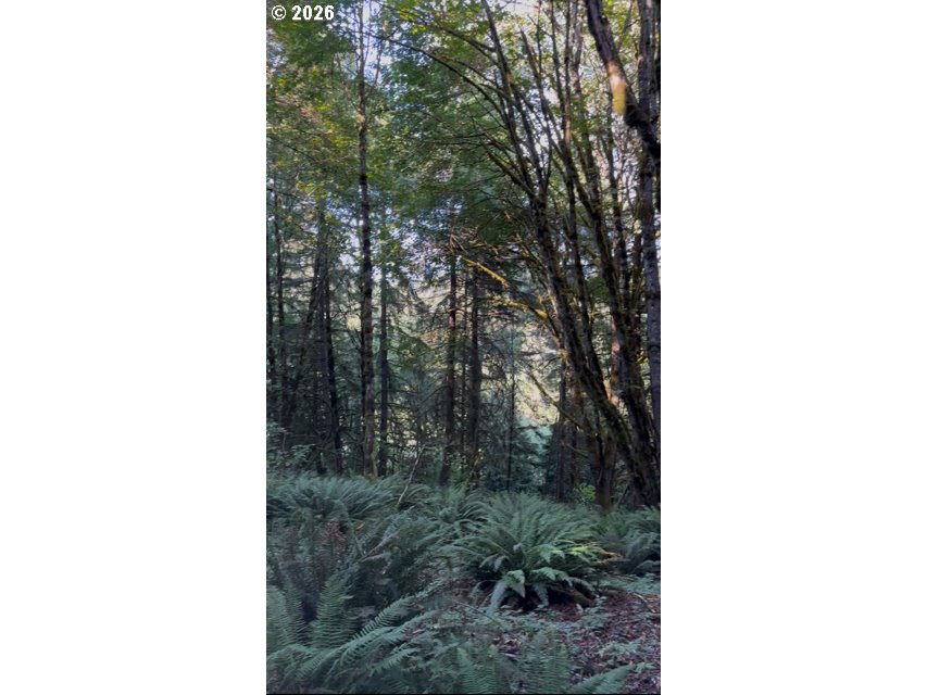 Sw Finnigan Hill Rd Property Photo 4