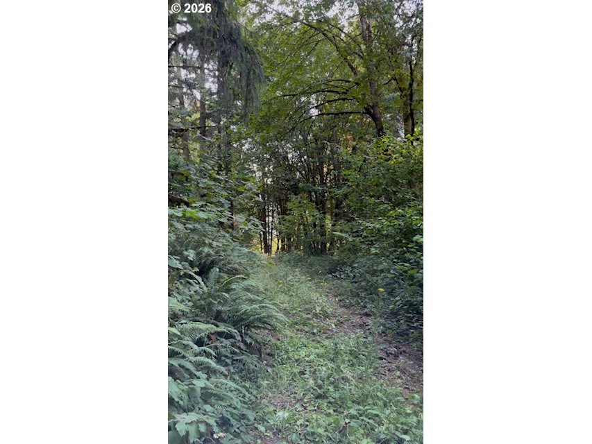 Sw Finnigan Hill Rd Property Photo 10