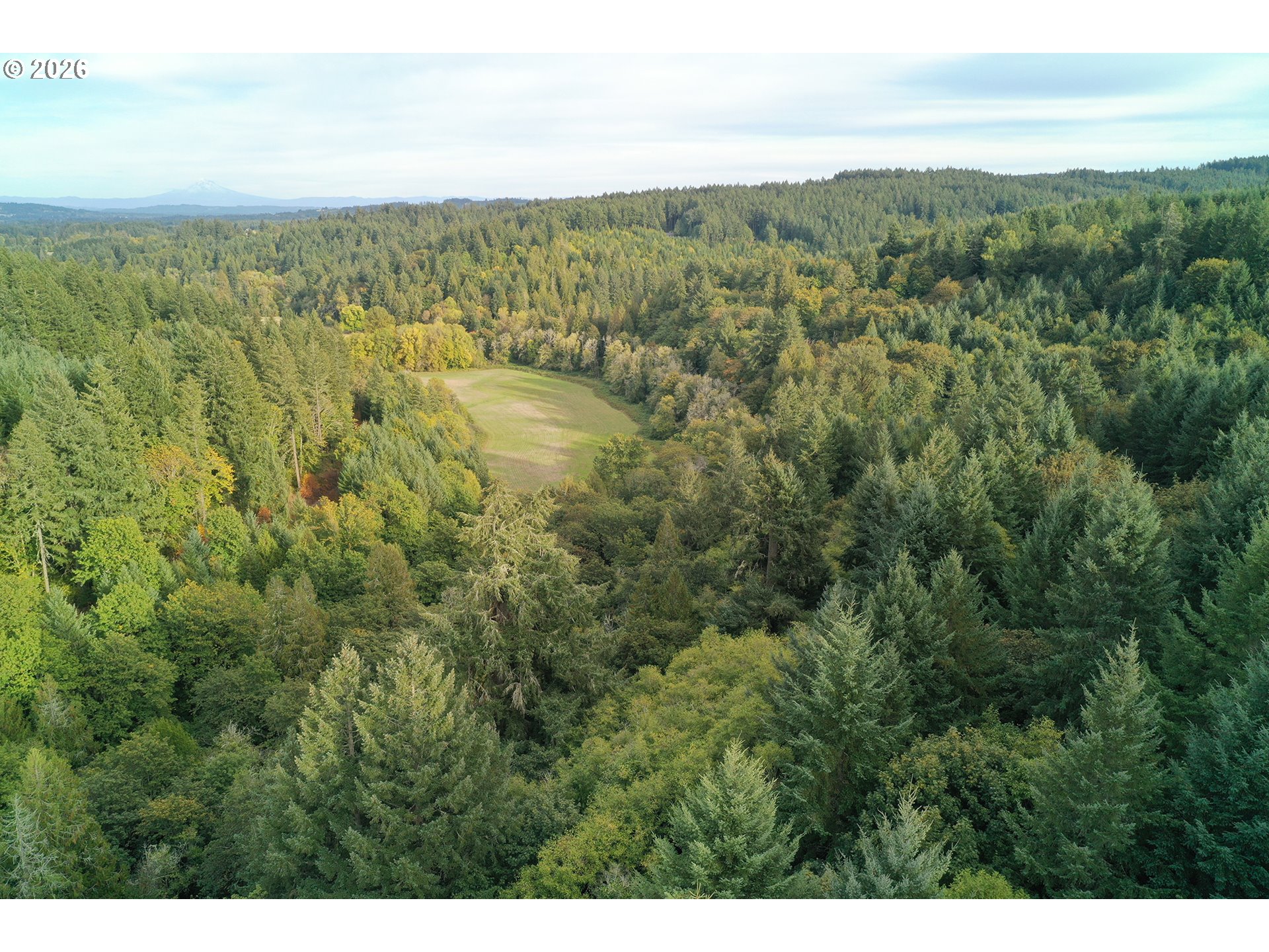 Sw Finnigan Hill Rd Property Photo 12