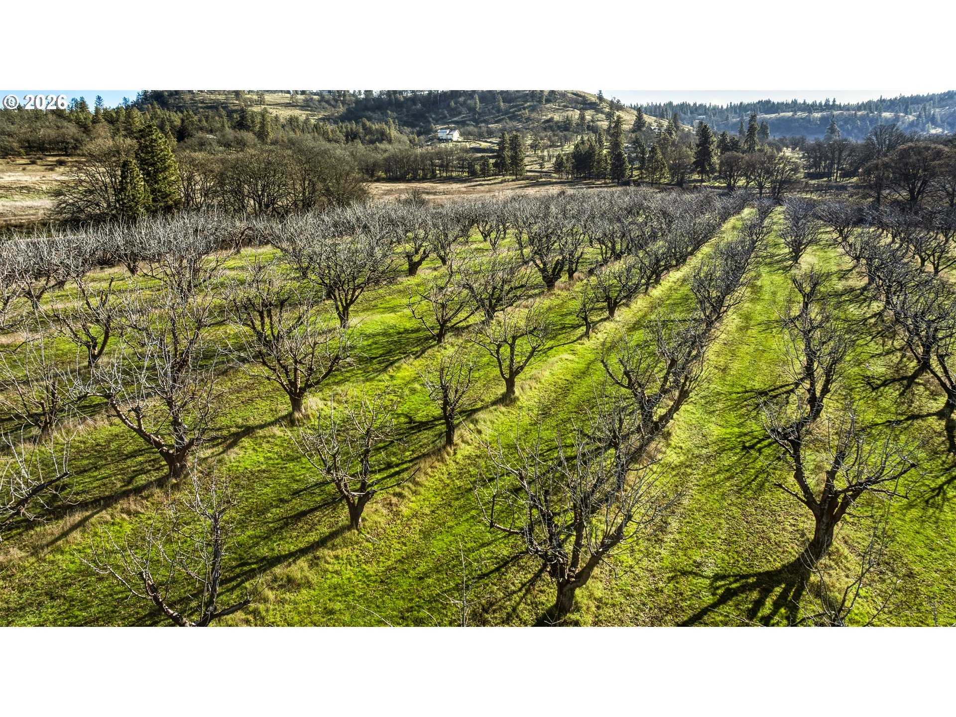 Dry Creek Rd Property Photo 6