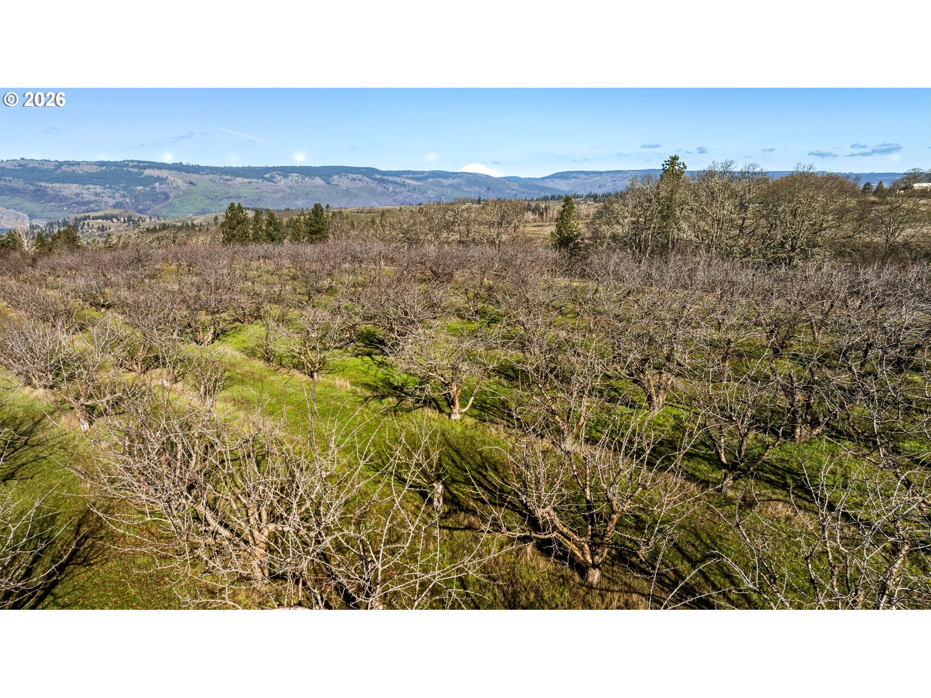 Dry Creek Rd Property Photo 7