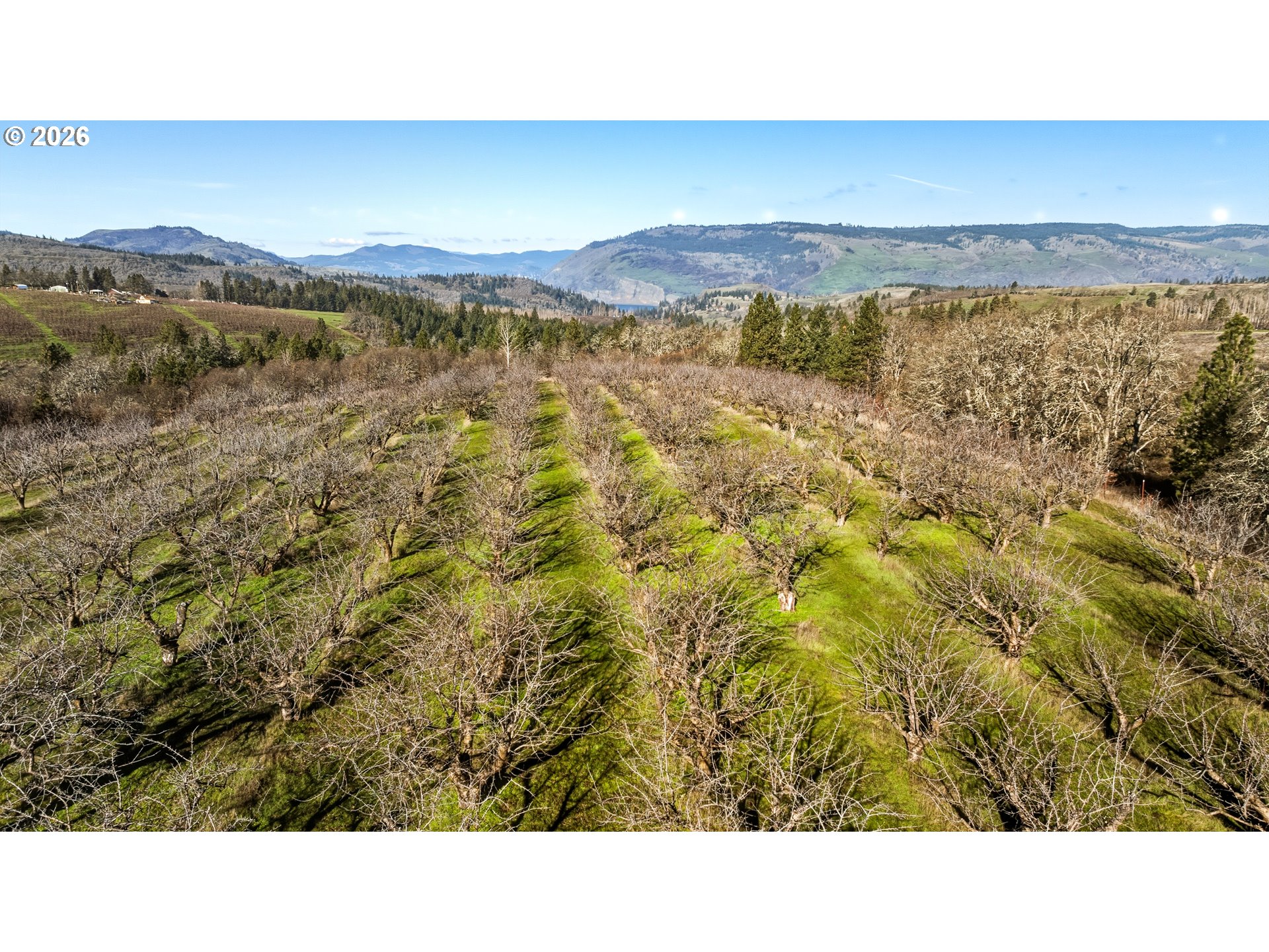 Dry Creek Rd Property Photo 8