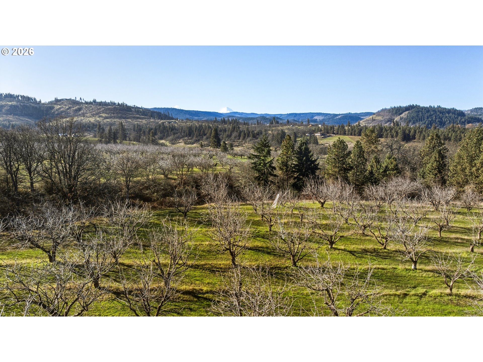 Dry Creek Rd Property Photo 9