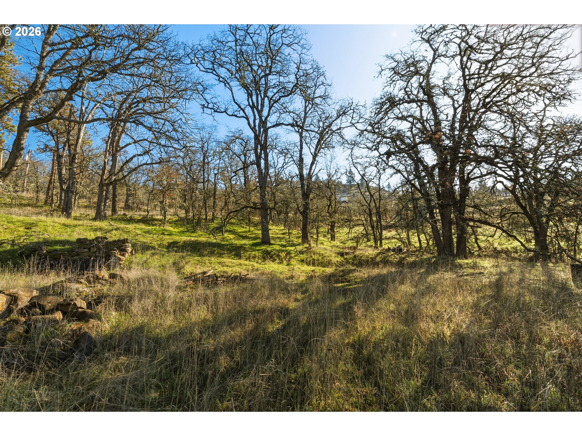 Dry Creek Rd Property Photo 23