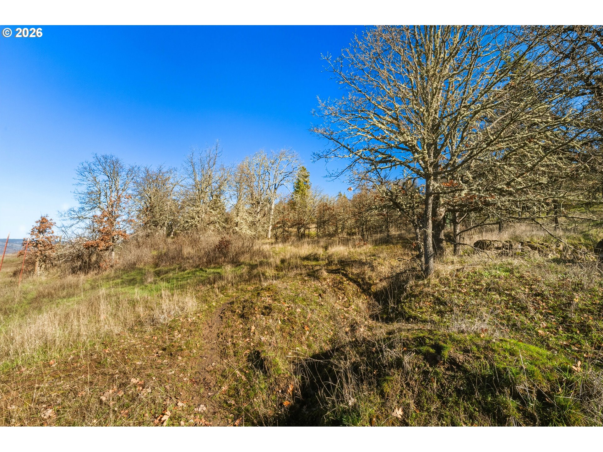 Dry Creek Rd Property Photo 24