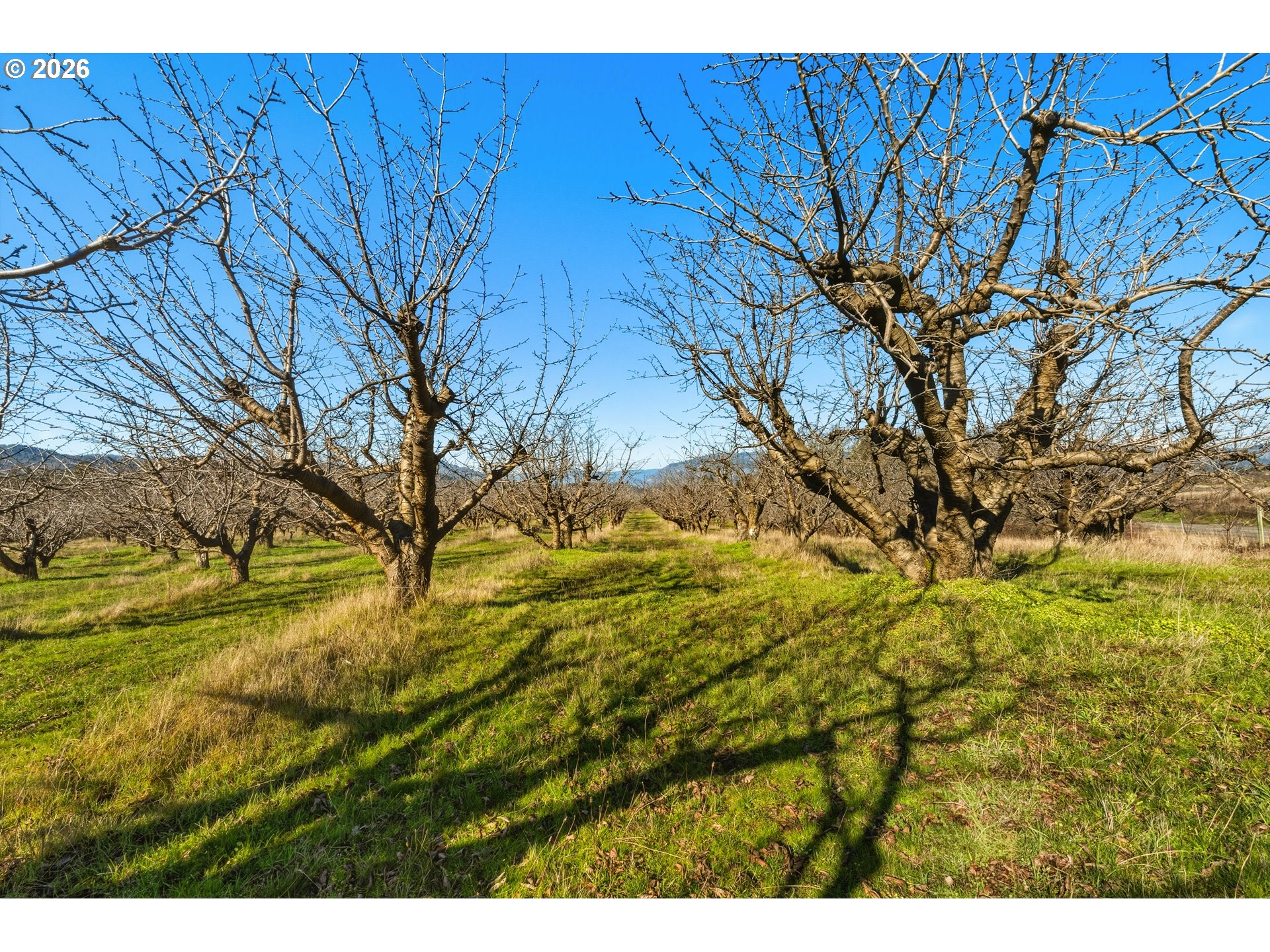 Dry Creek Rd Property Photo 26