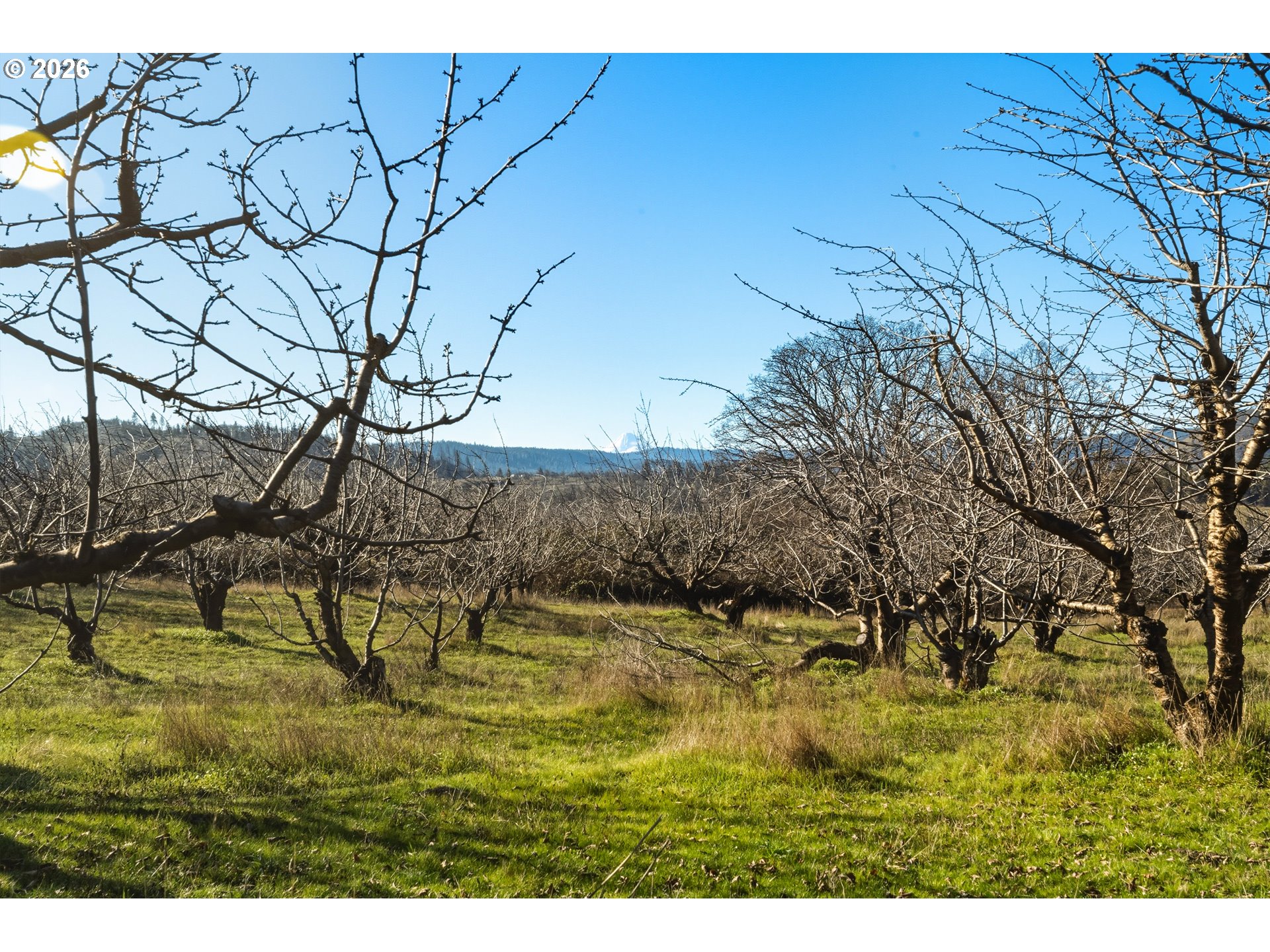 Dry Creek Rd Property Photo 27