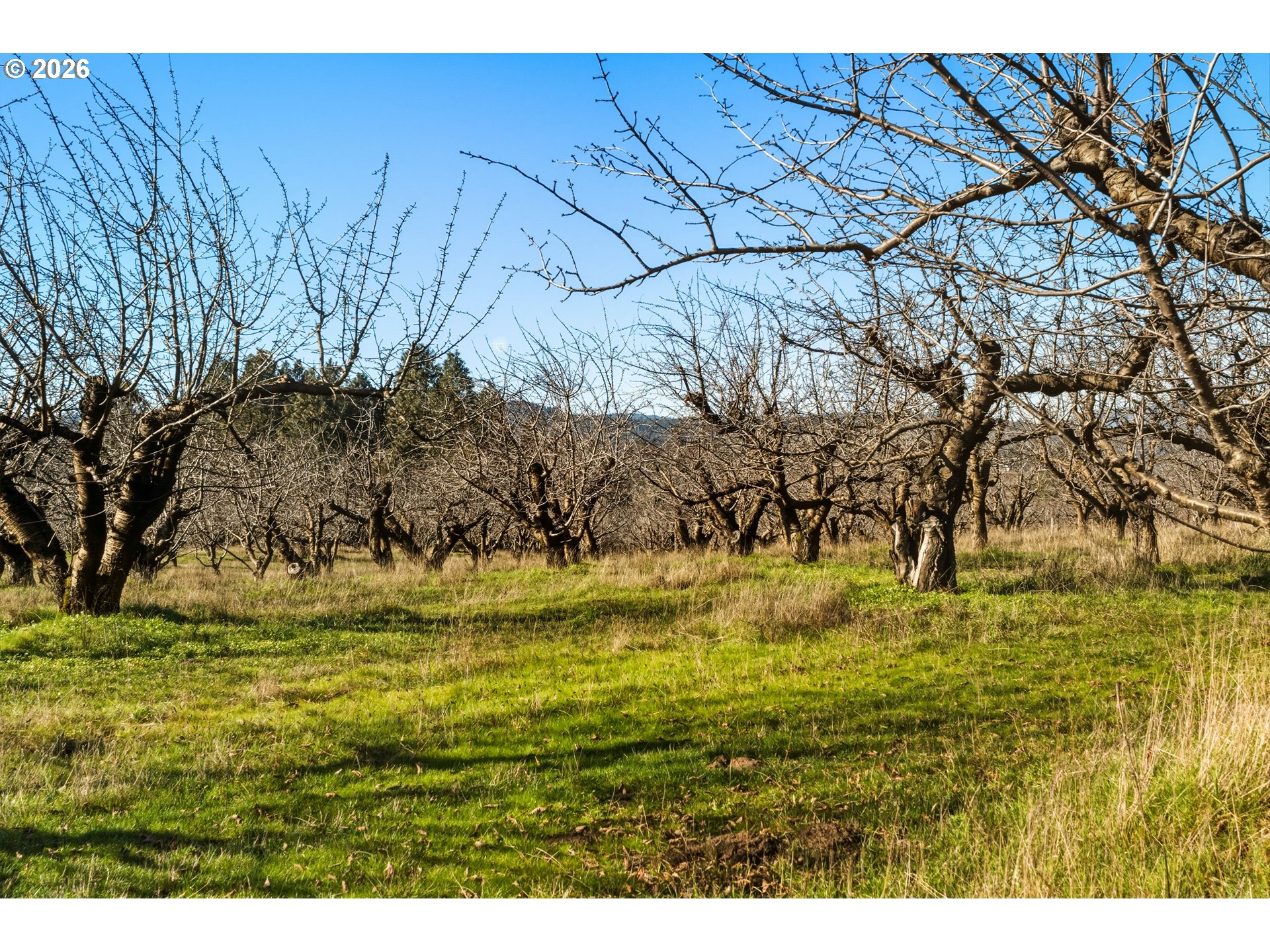 Dry Creek Rd Property Photo 28