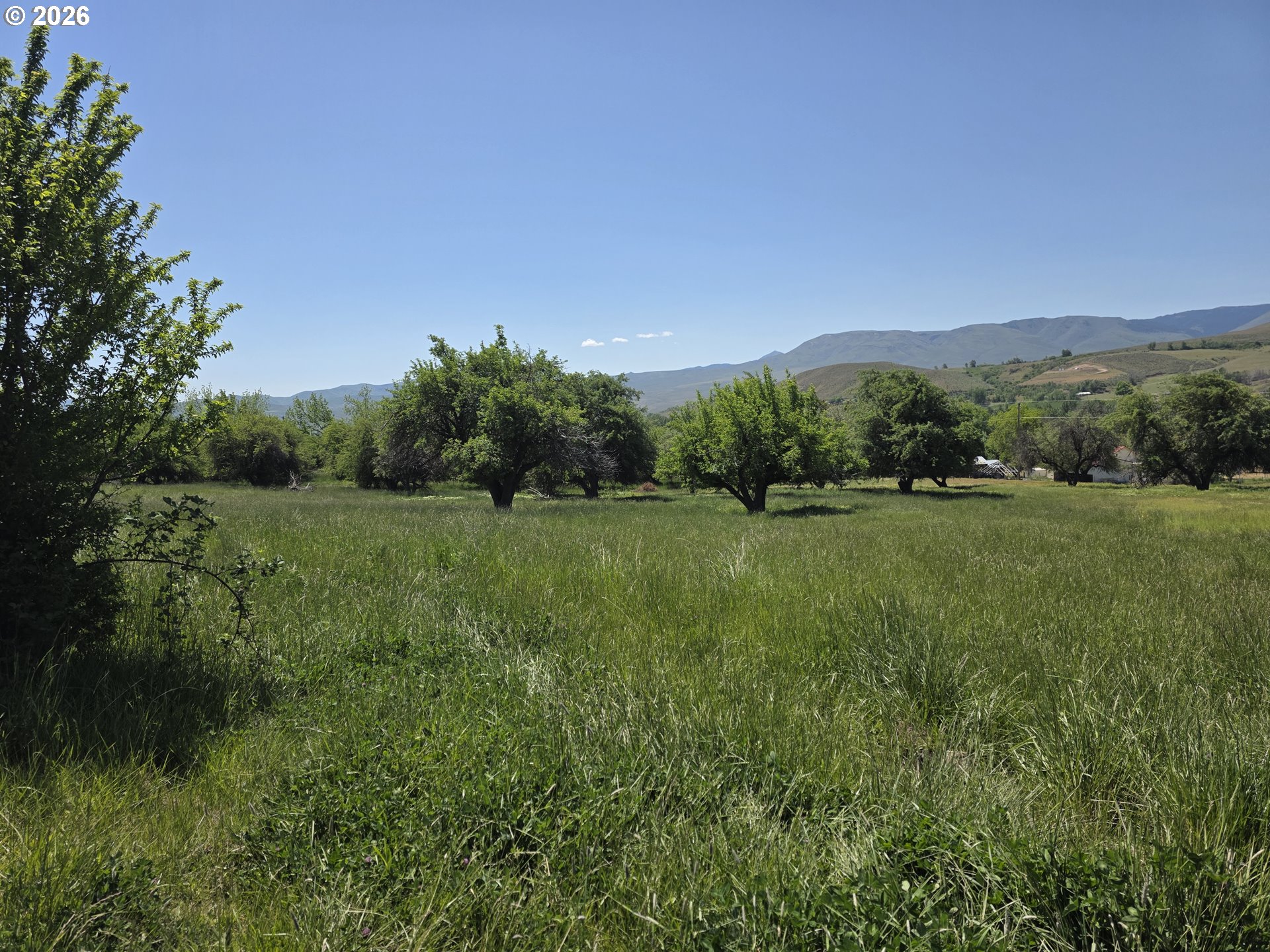 0 Eagle Creek Rd 801 Property Photo 3