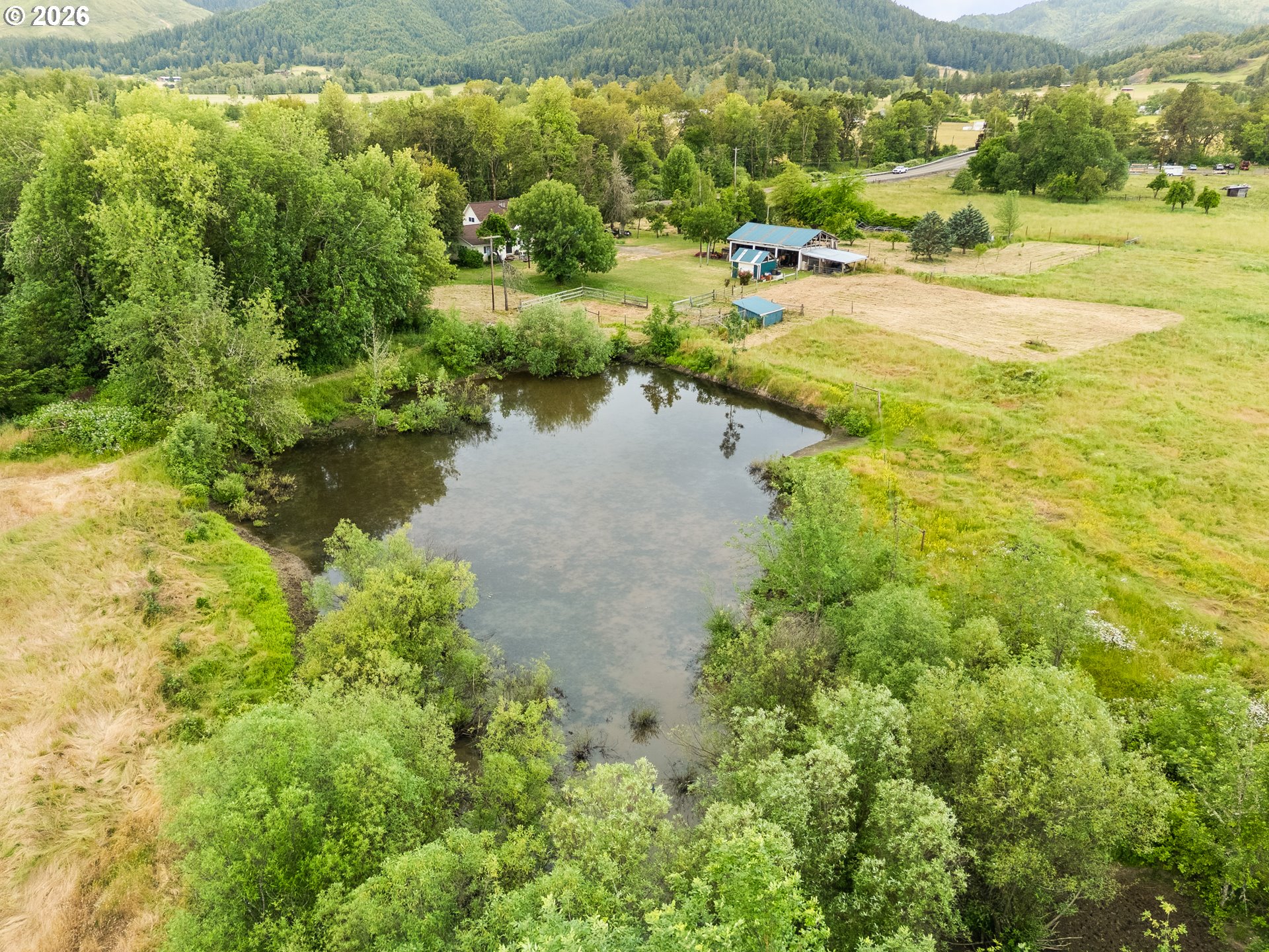 1177 Dairy Loop Rd Property Photo 45