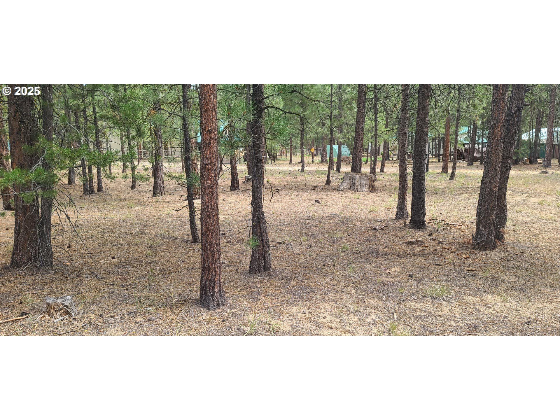 52328 Elderberry Ct Property Photo 6