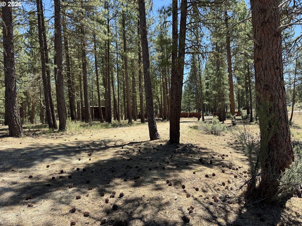 15651 Marcee Way Property Photo 8
