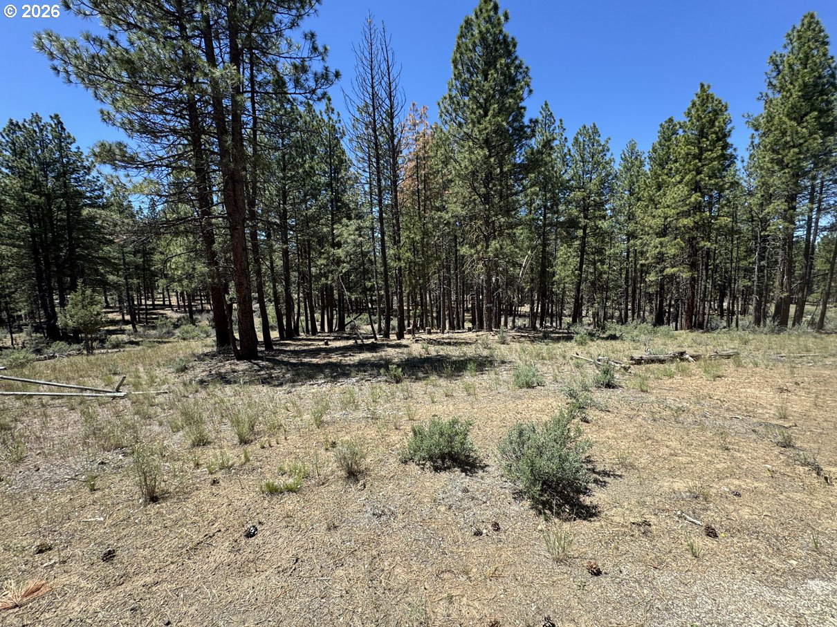 15651 Marcee Way Property Photo 11