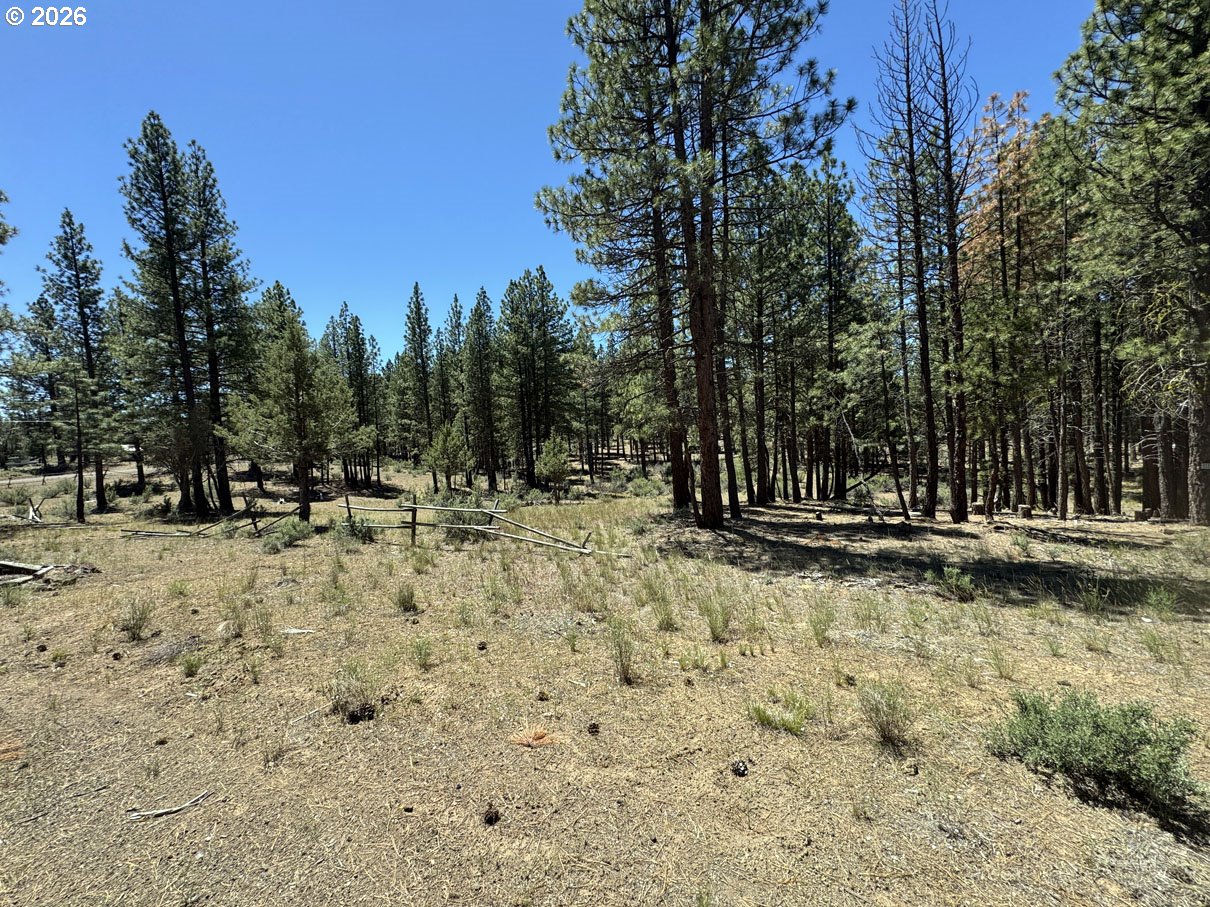 15651 Marcee Way Property Photo 14