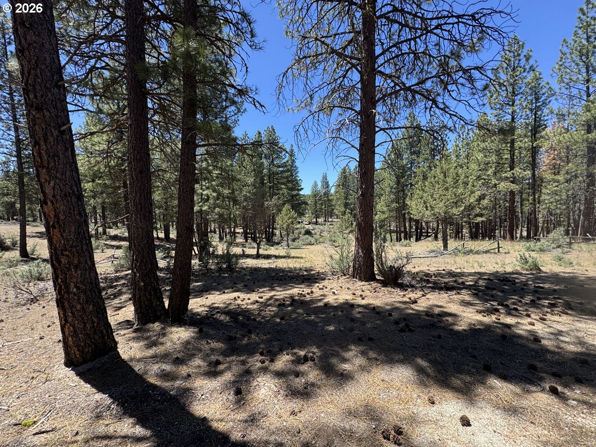 15651 Marcee Way Property Photo 18