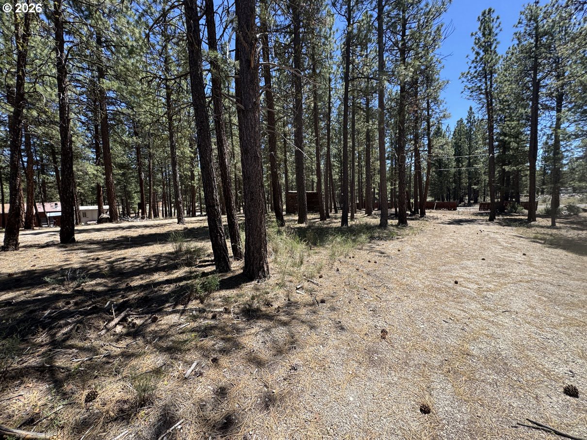 15651 Marcee Way Property Photo 21