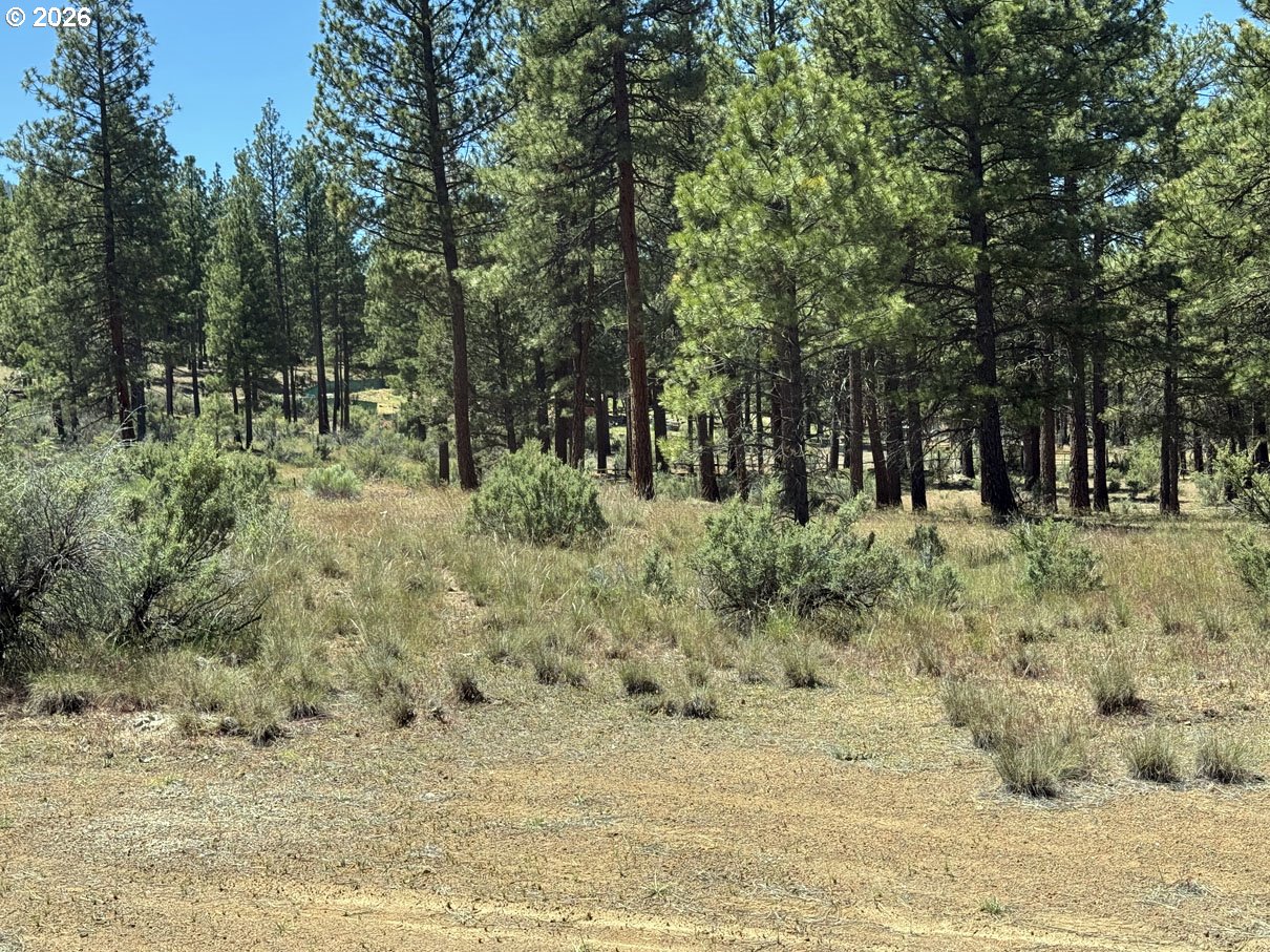15651 Marcee Way Property Photo 41