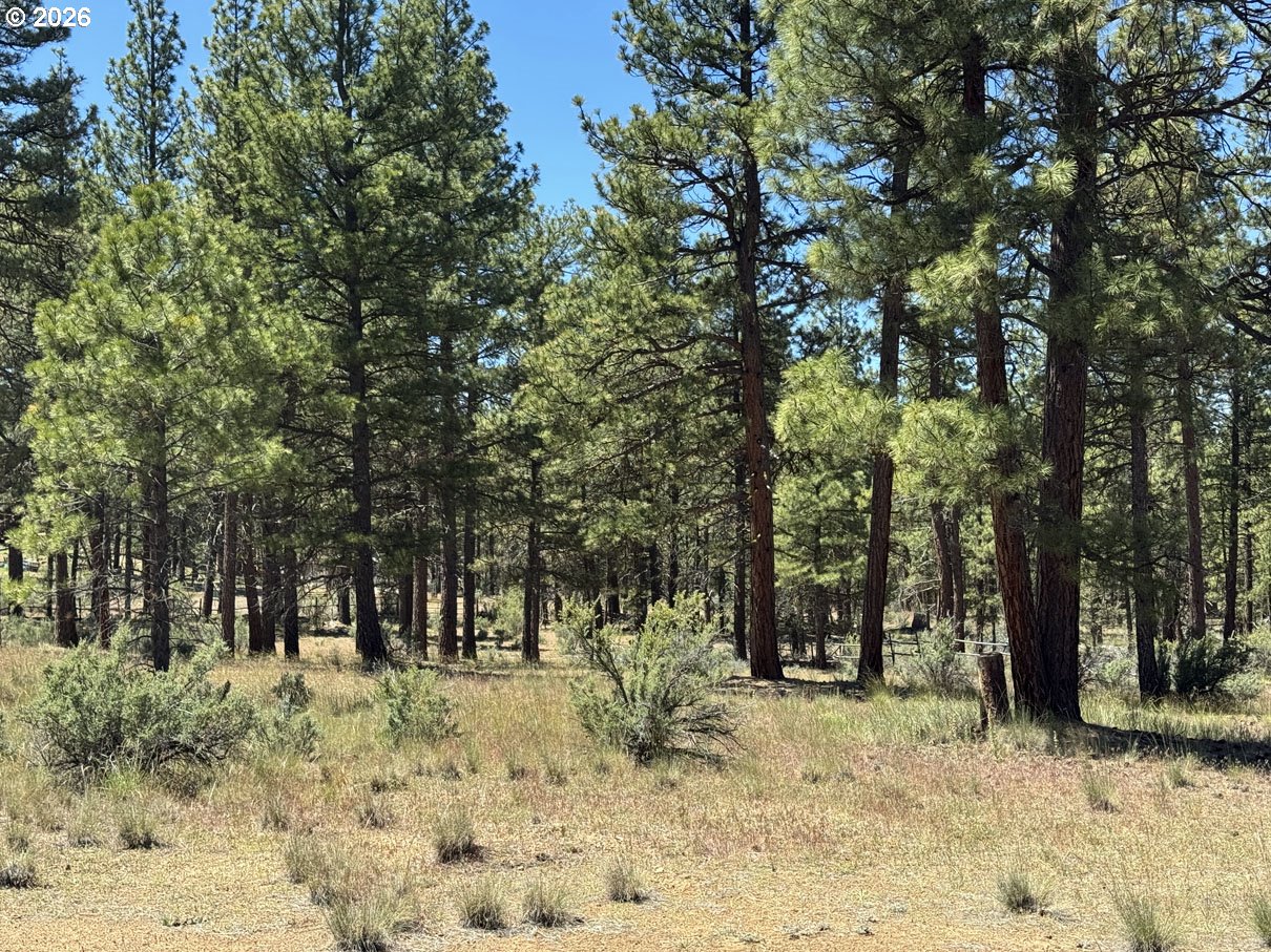 15651 Marcee Way Property Photo 42