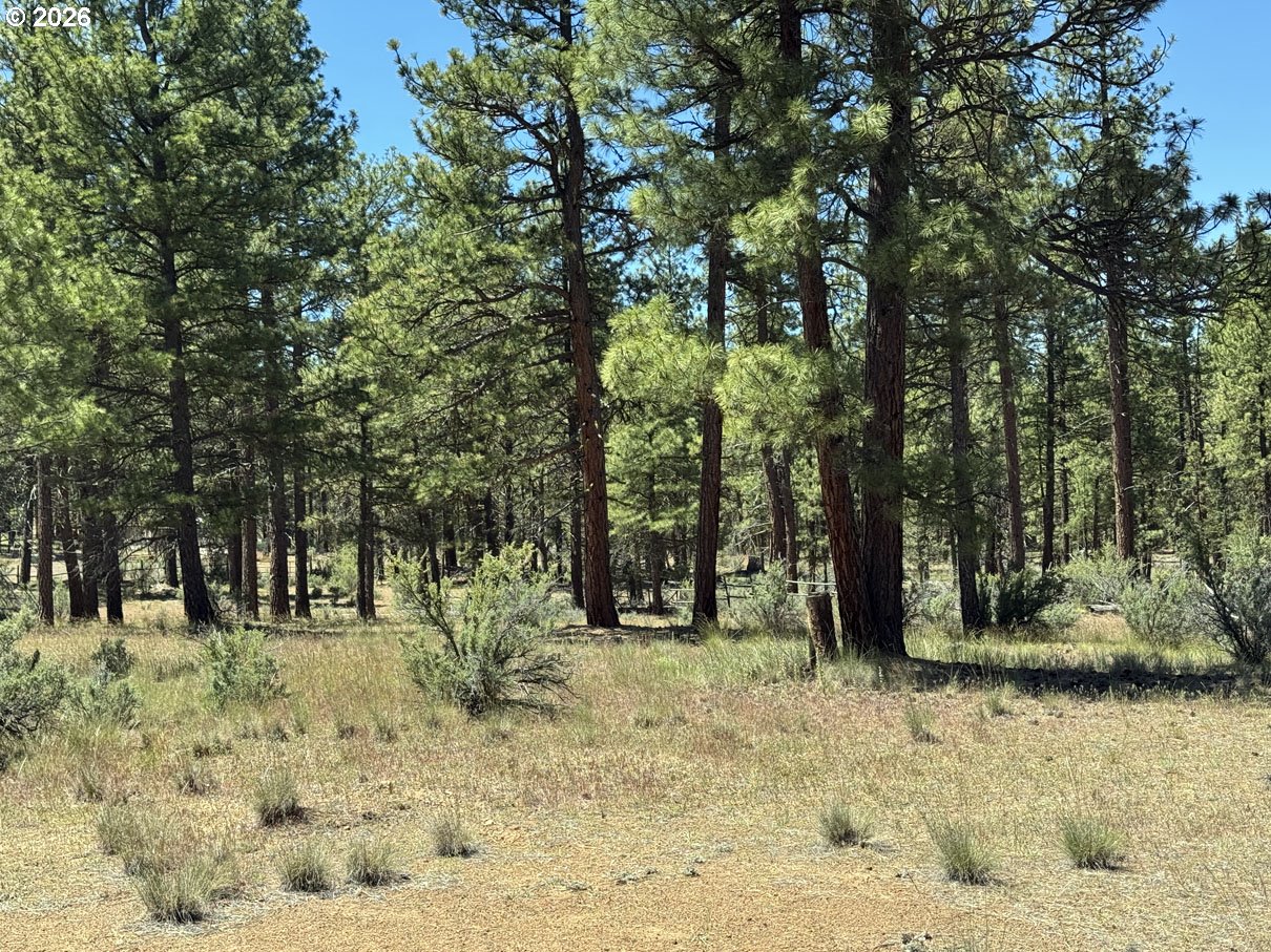 15651 Marcee Way Property Photo 43