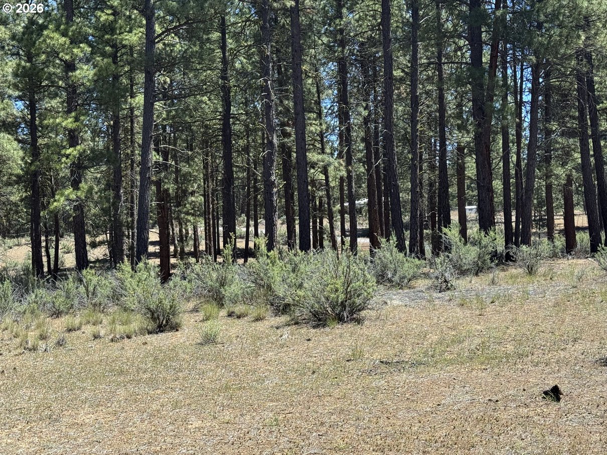 15651 Marcee Way Property Photo 44