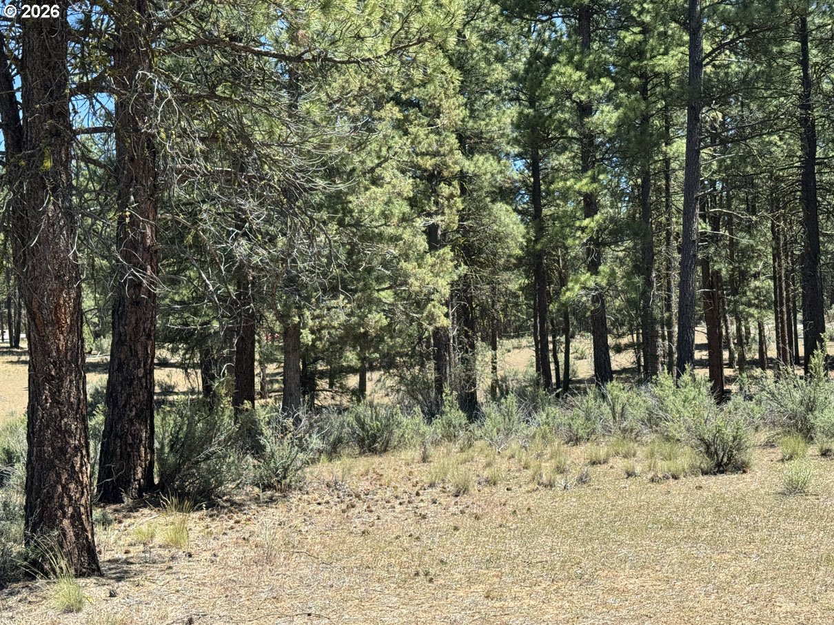15651 Marcee Way Property Photo 45
