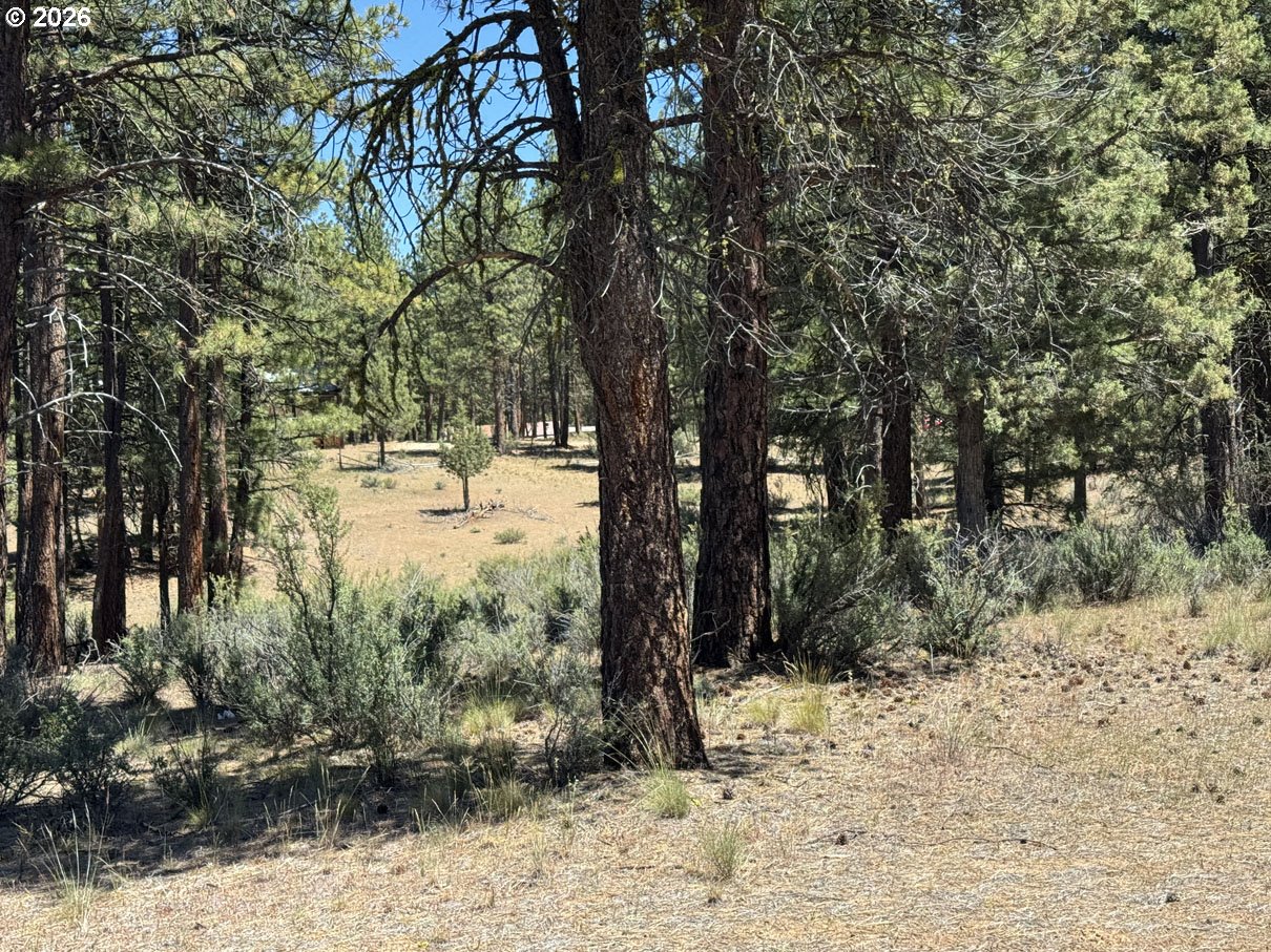 15651 Marcee Way Property Photo 46
