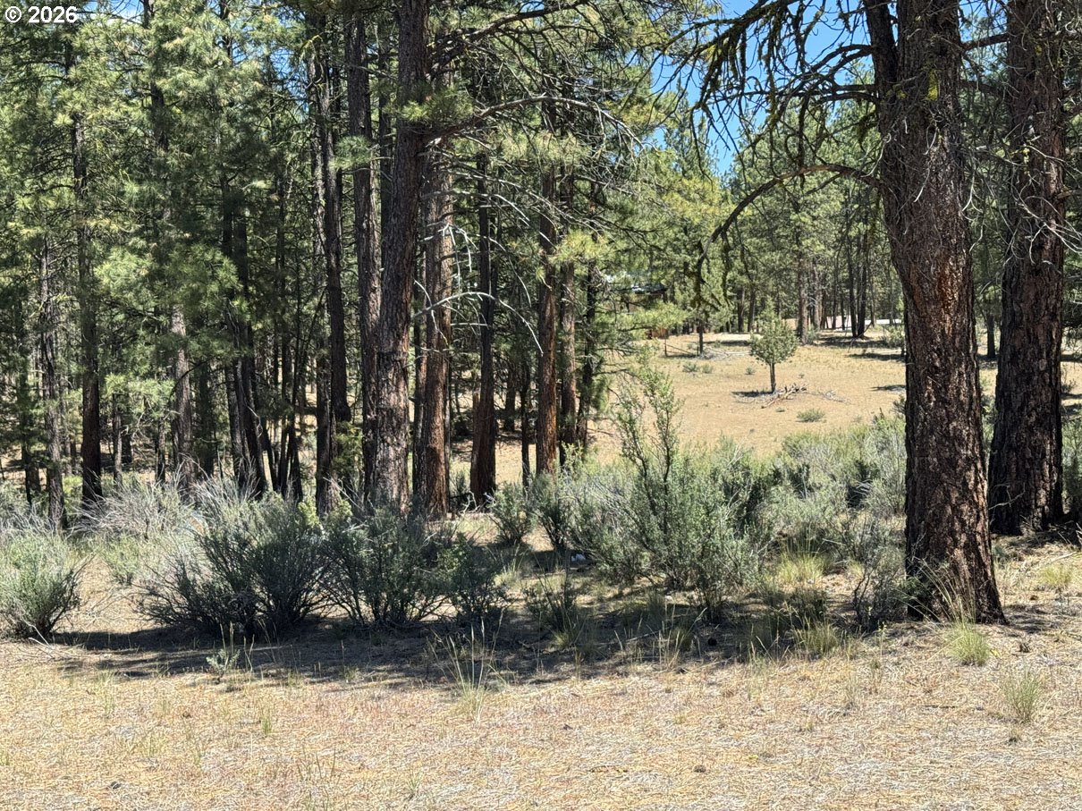 15651 Marcee Way Property Photo 47