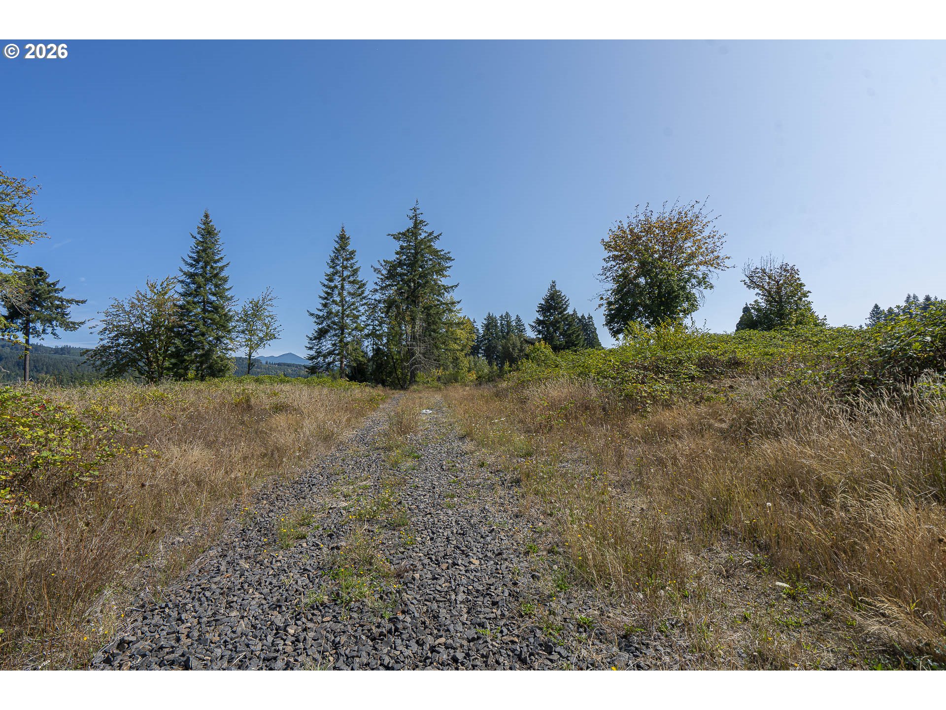 1401 45th Ave Property Photo 11