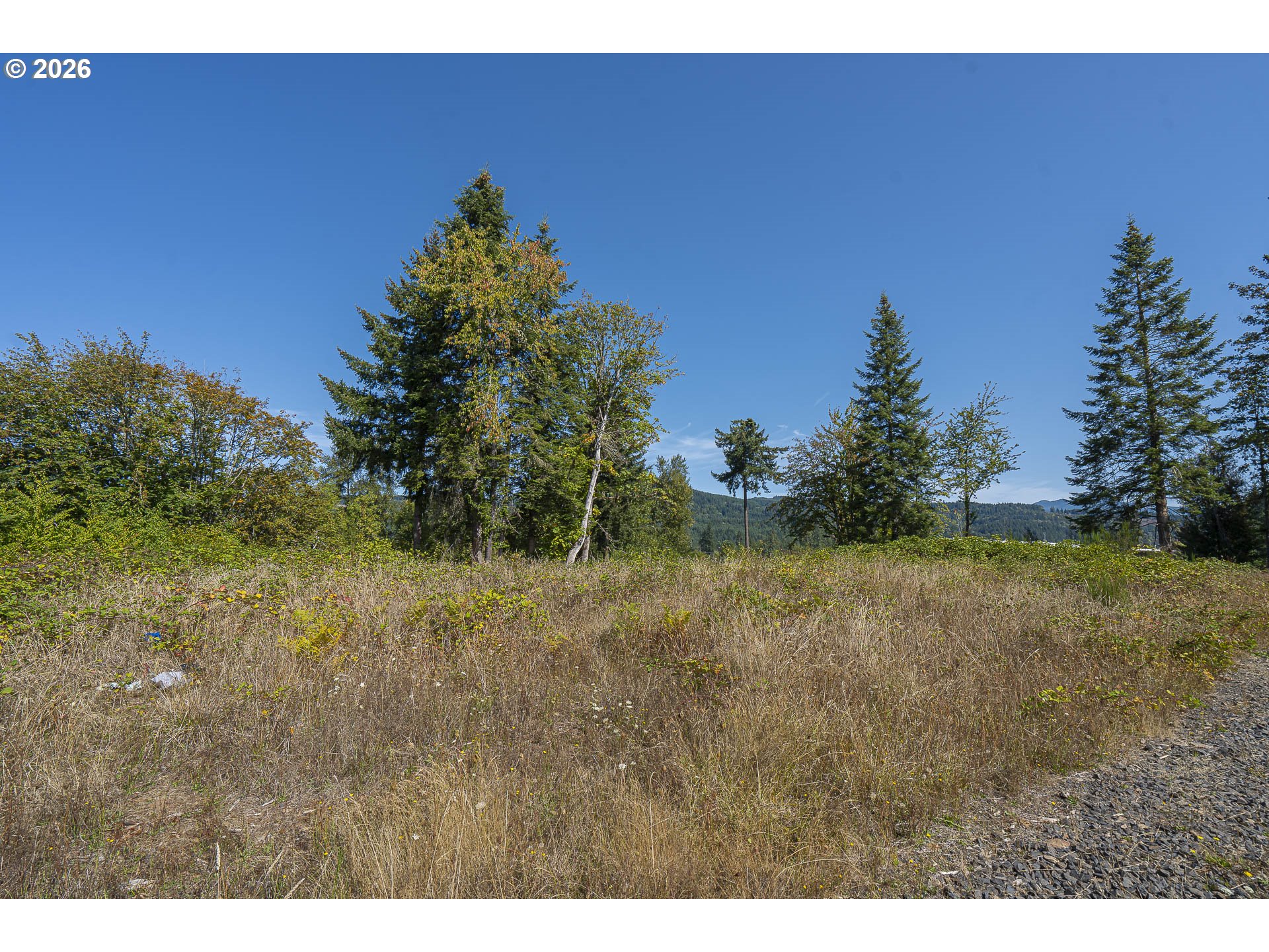 1401 45th Ave Property Photo 12