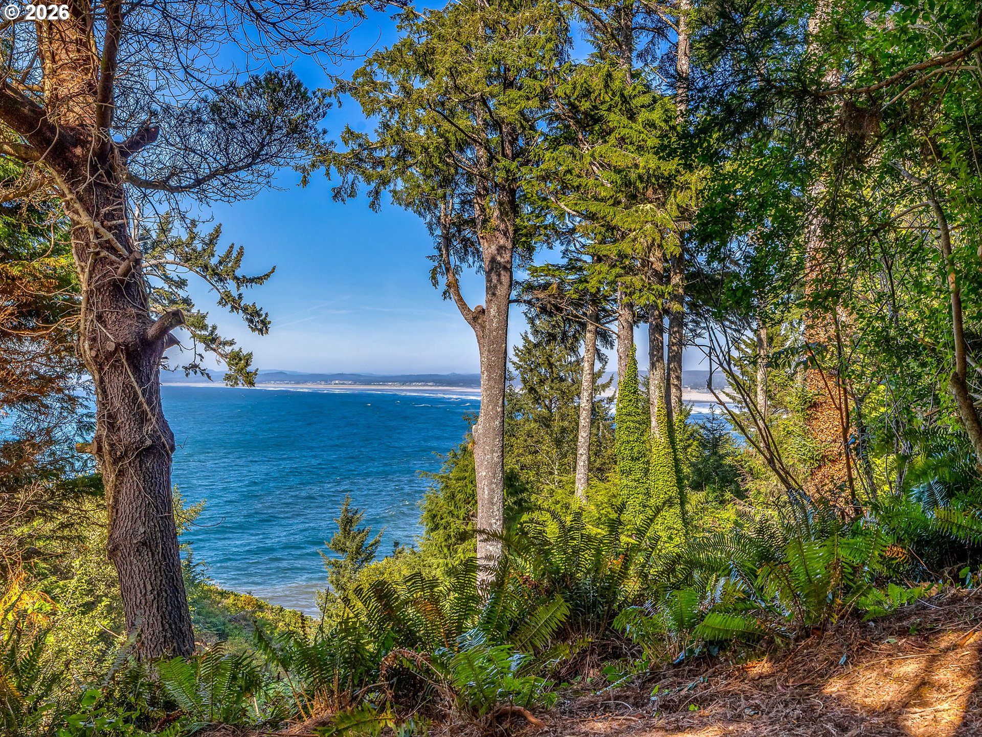 3730 Sunset Blvd Property Photo 44