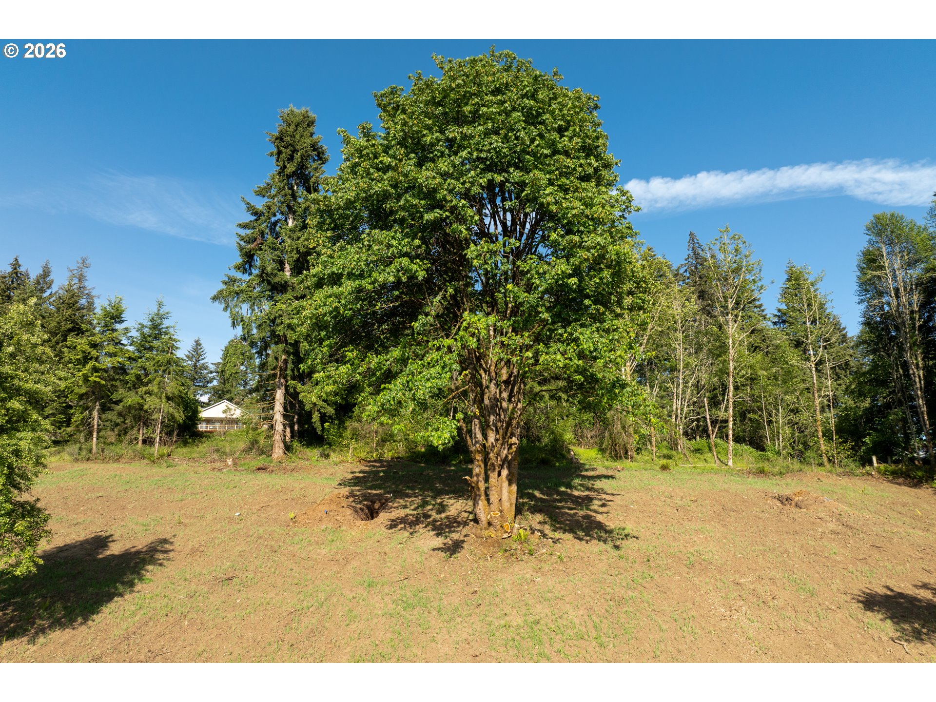 0 Lenora Property Photo 2