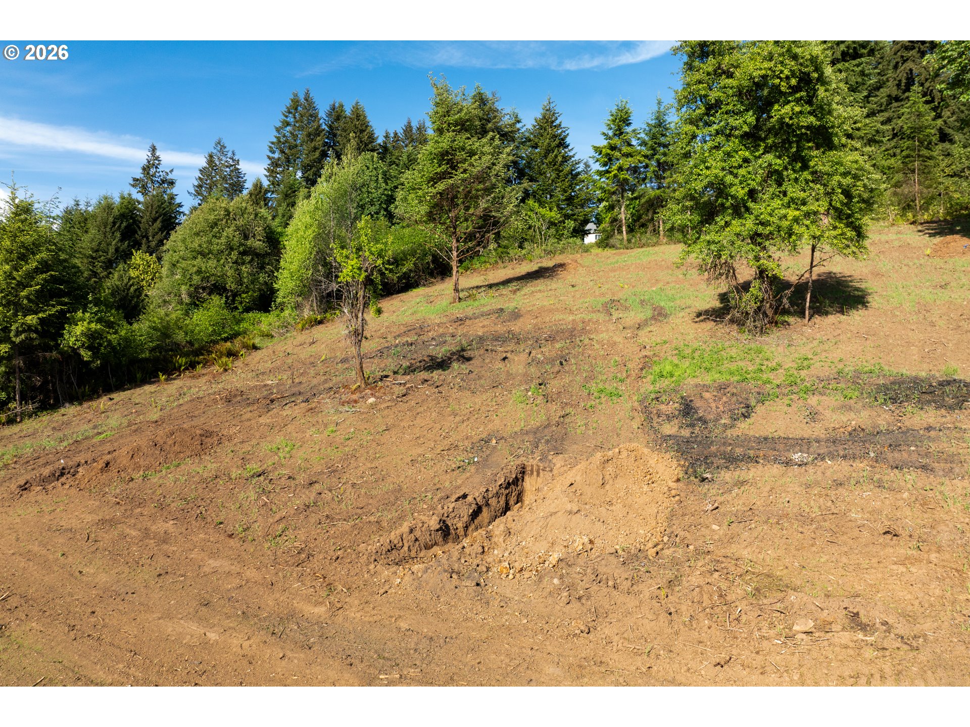 0 Lenora Property Photo 22