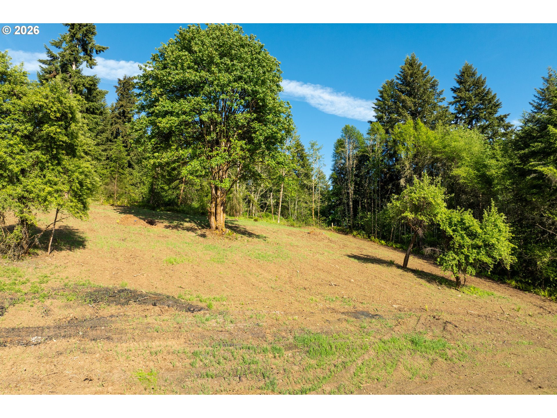 0 Lenora Property Photo 23