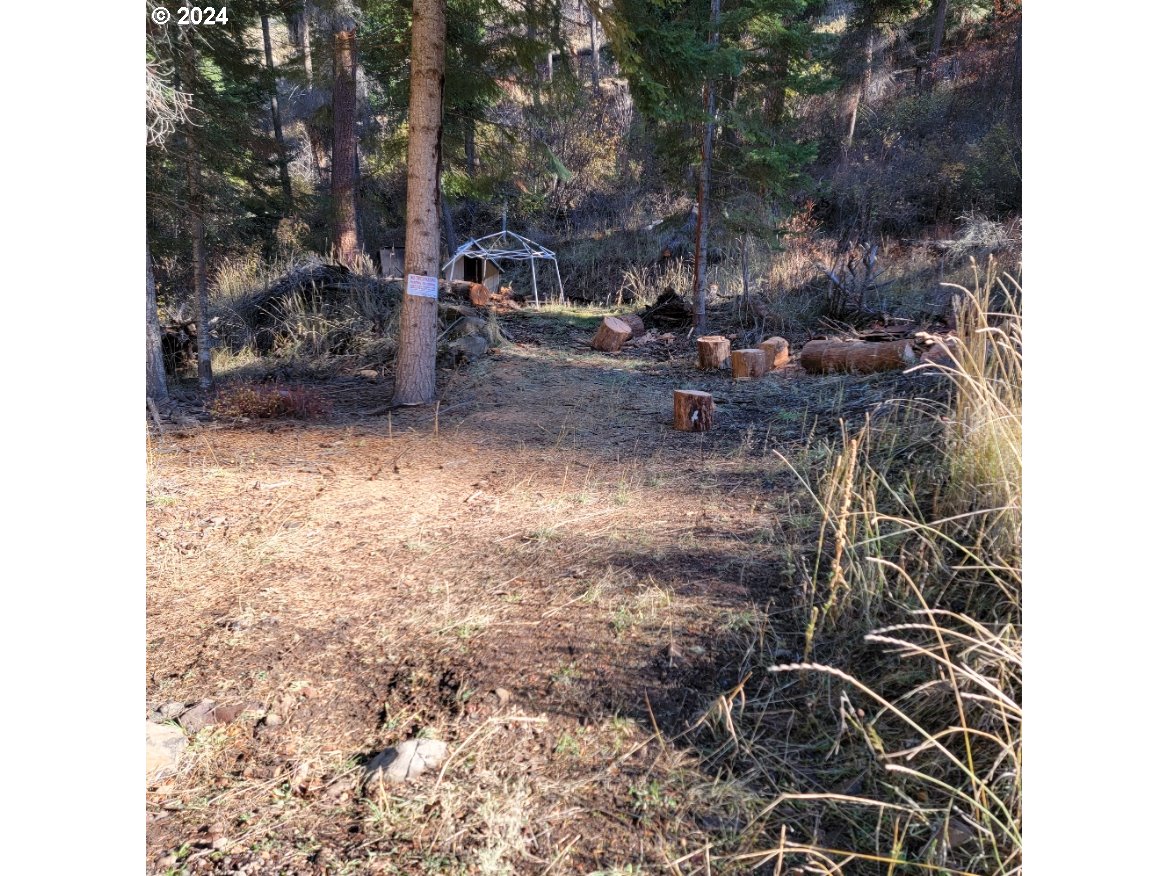 River Canyon Rd Tl 900 Property Photo 1